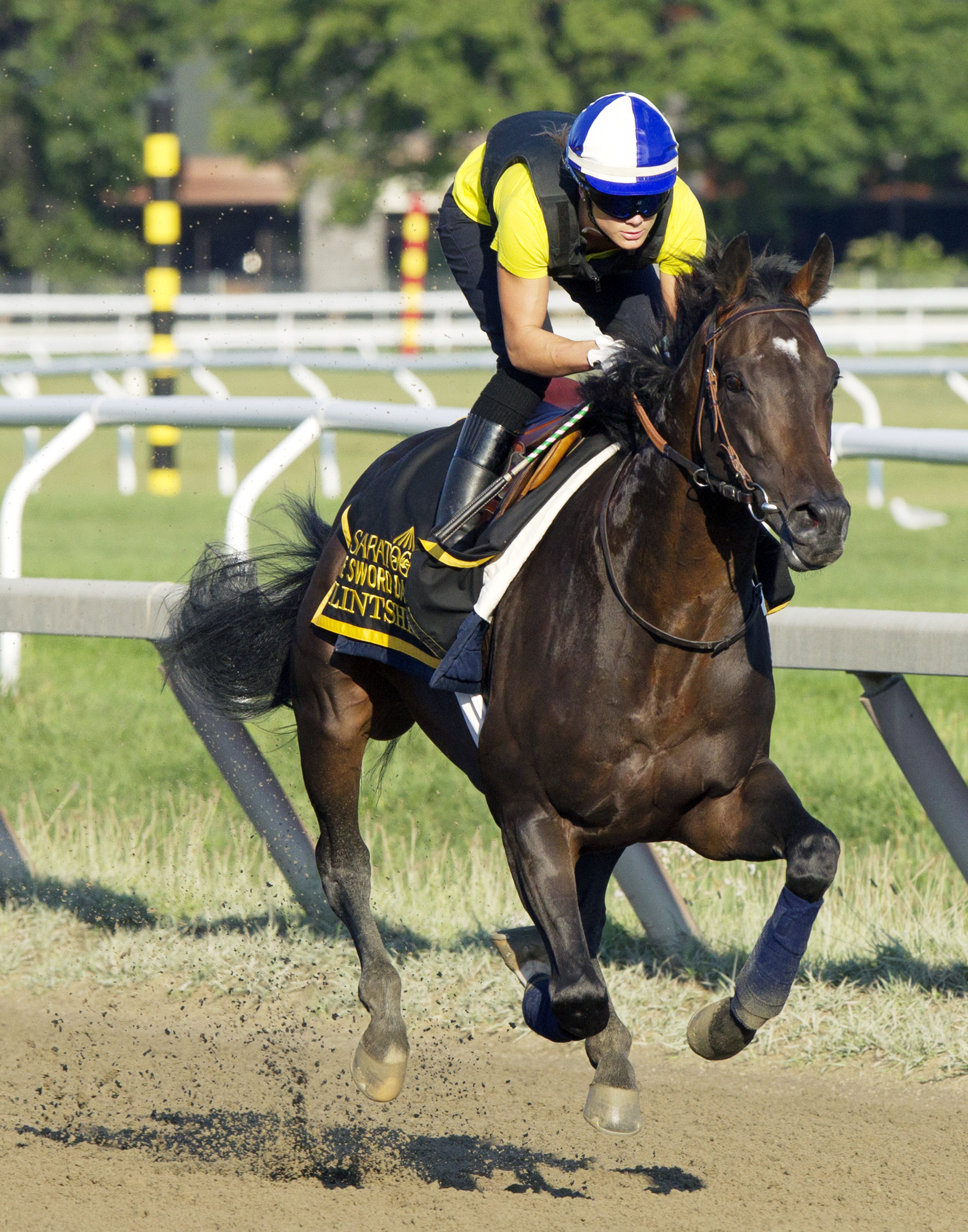 Flintshire trains on Aug. 26