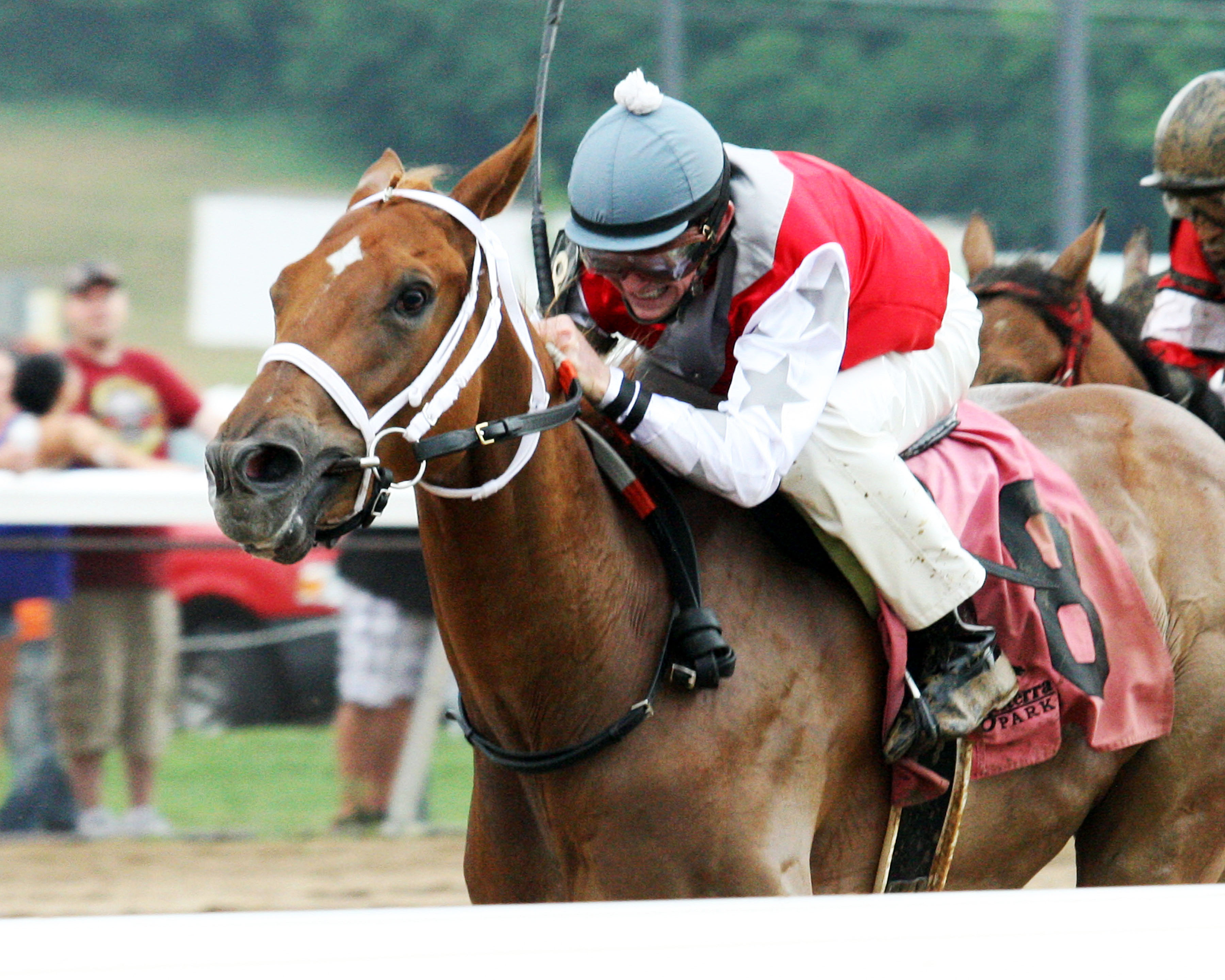 Flip Daddy wins the Hoover Stakes