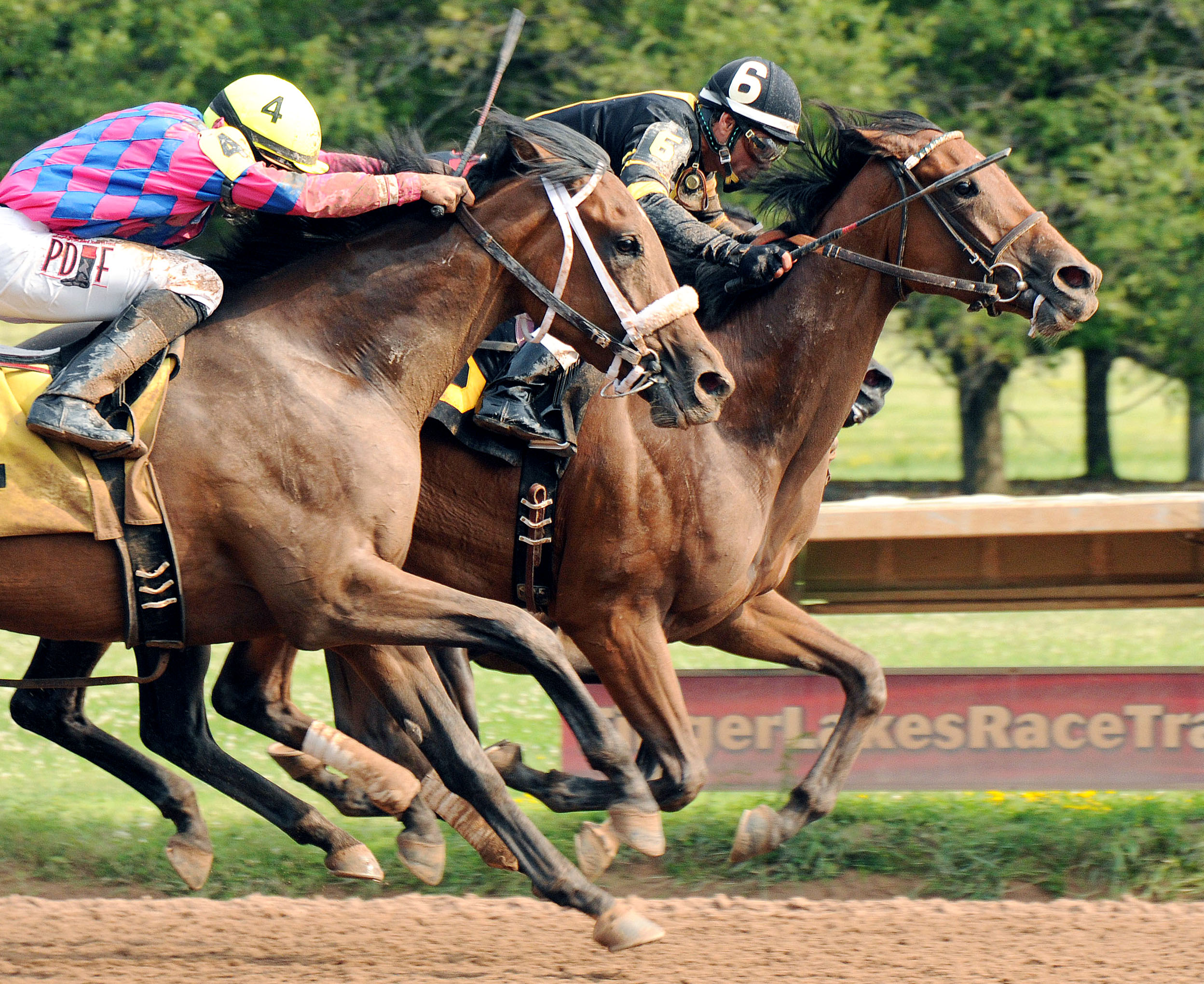 Flipcup wins the New York Oaks
