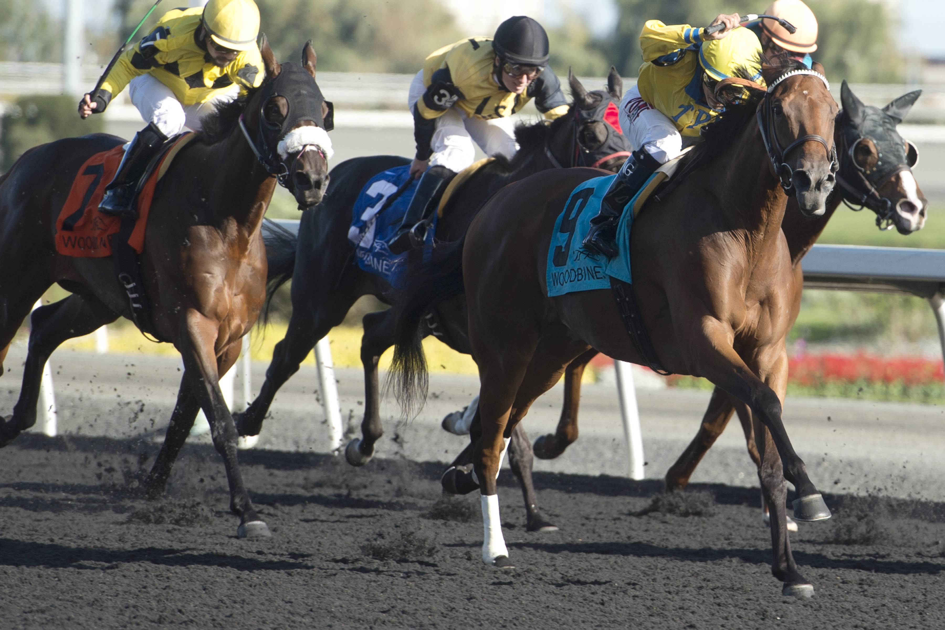 Flipcup wins the Classy N Smart Stakes