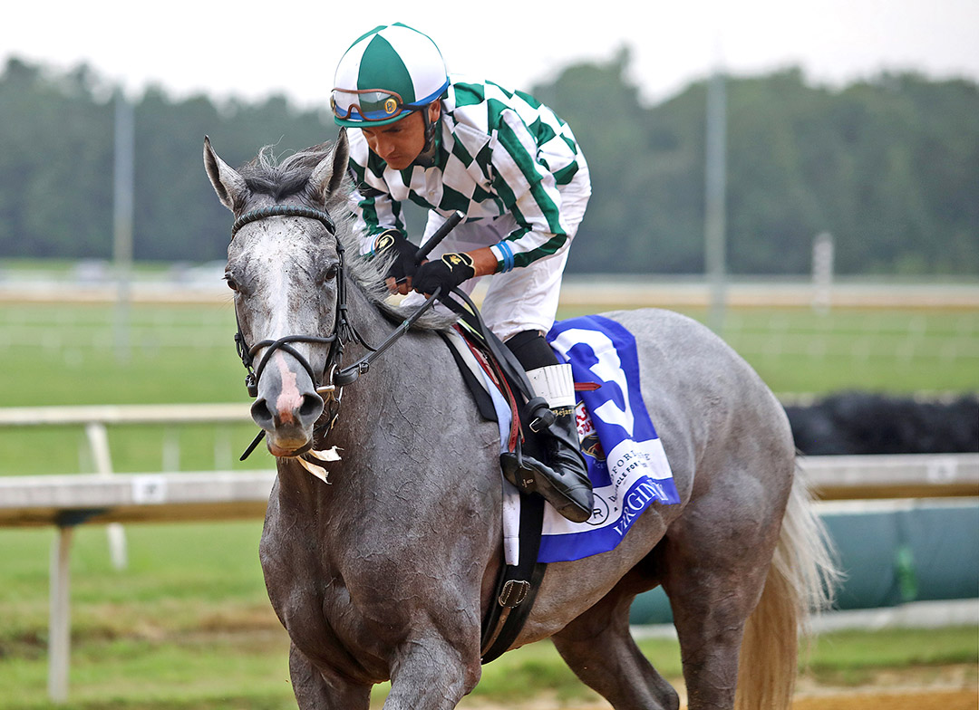 Flippant wins the 2021 Virginia Oaks at Colonial Downs