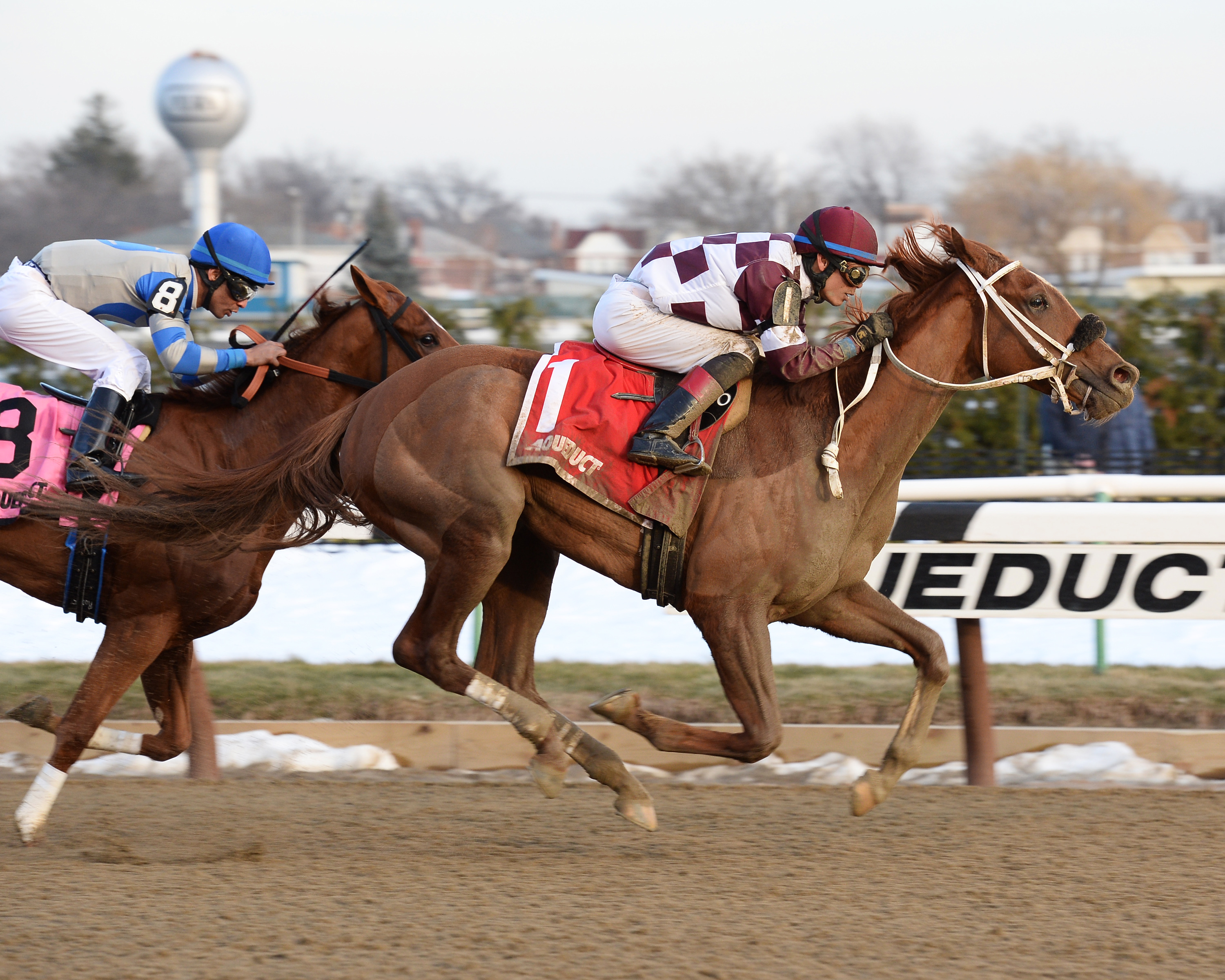 Flora Dora wins the Busanda