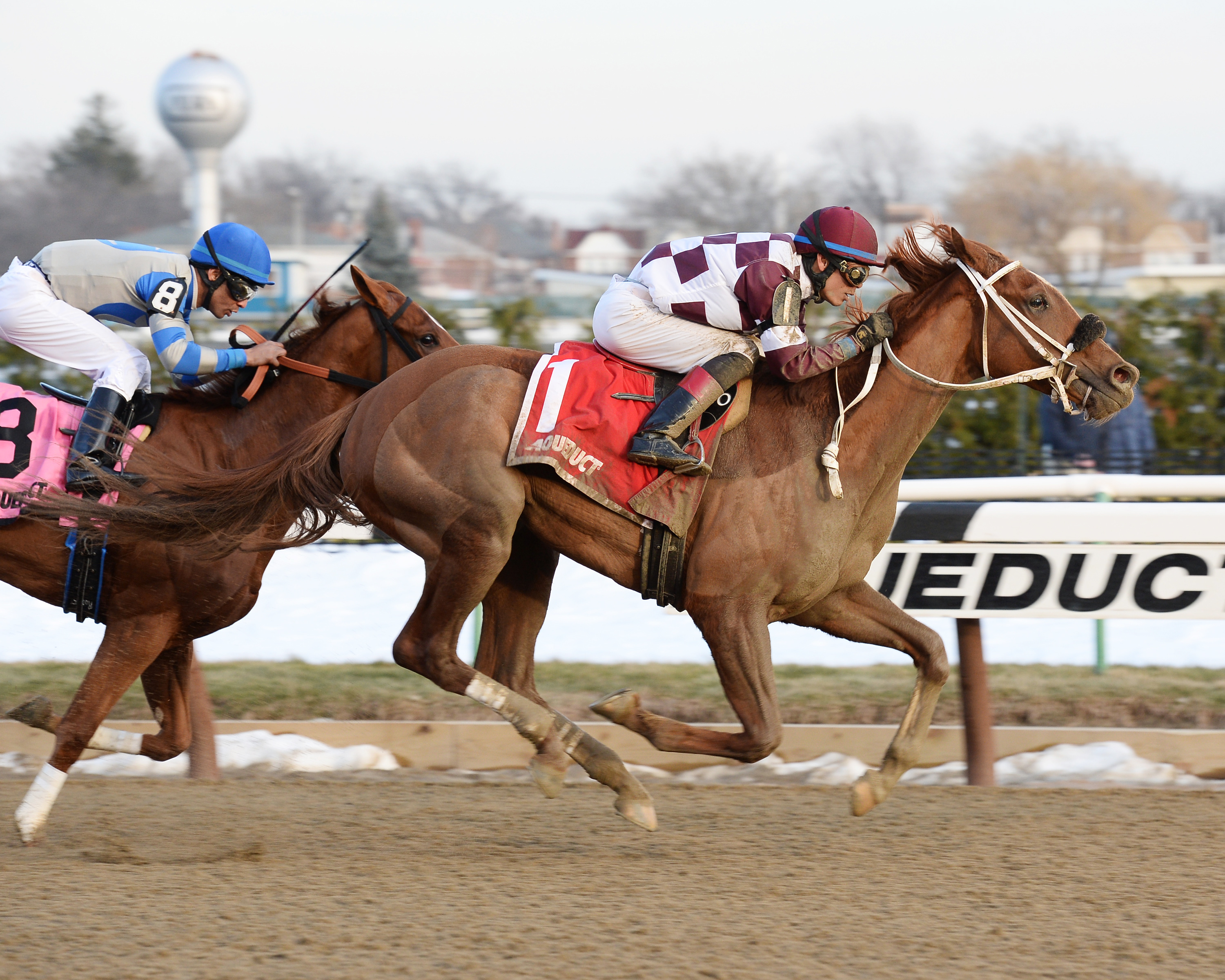Flora Dora wins the Busanda