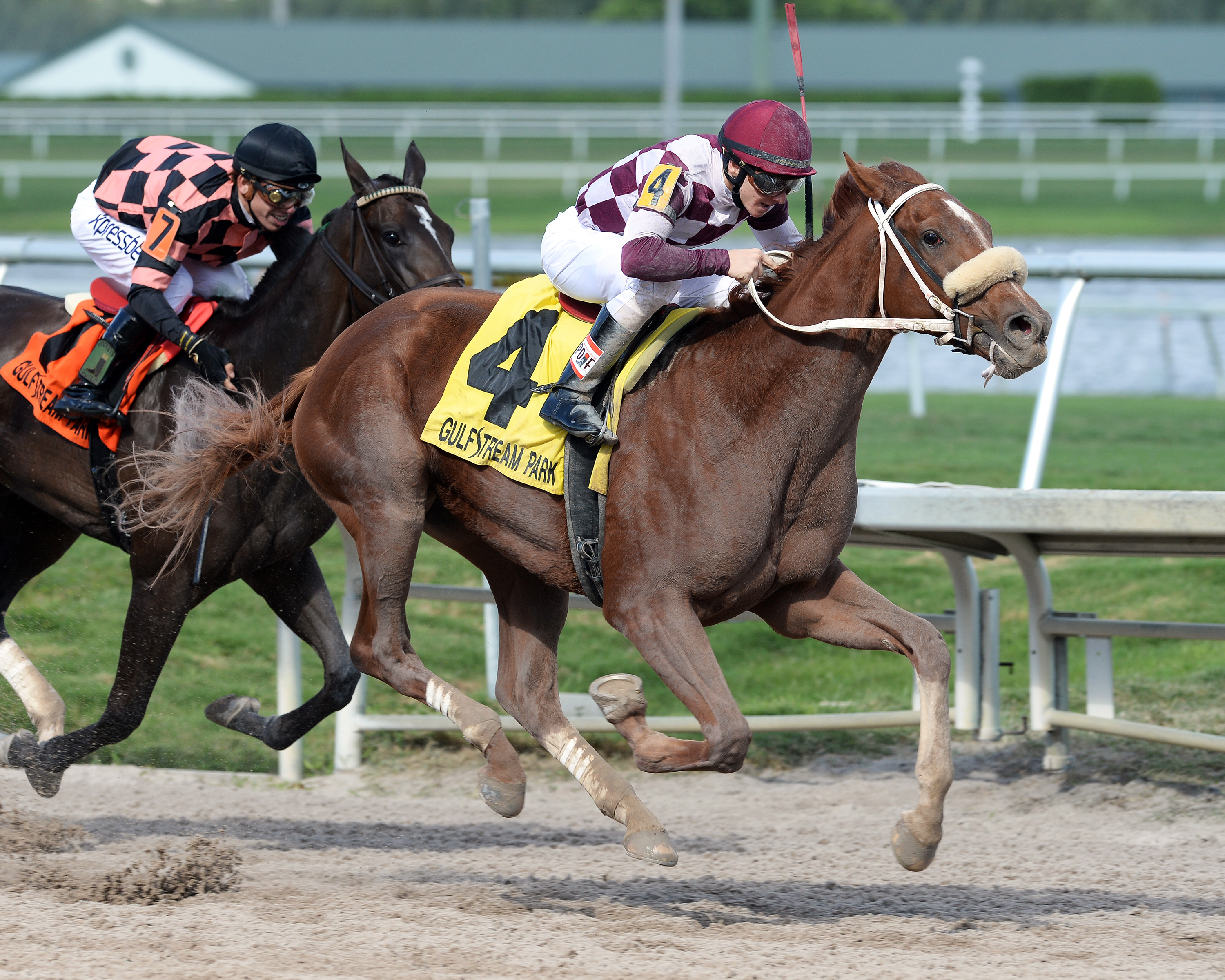 Flora Dora wins the My Dear Girl Stakes