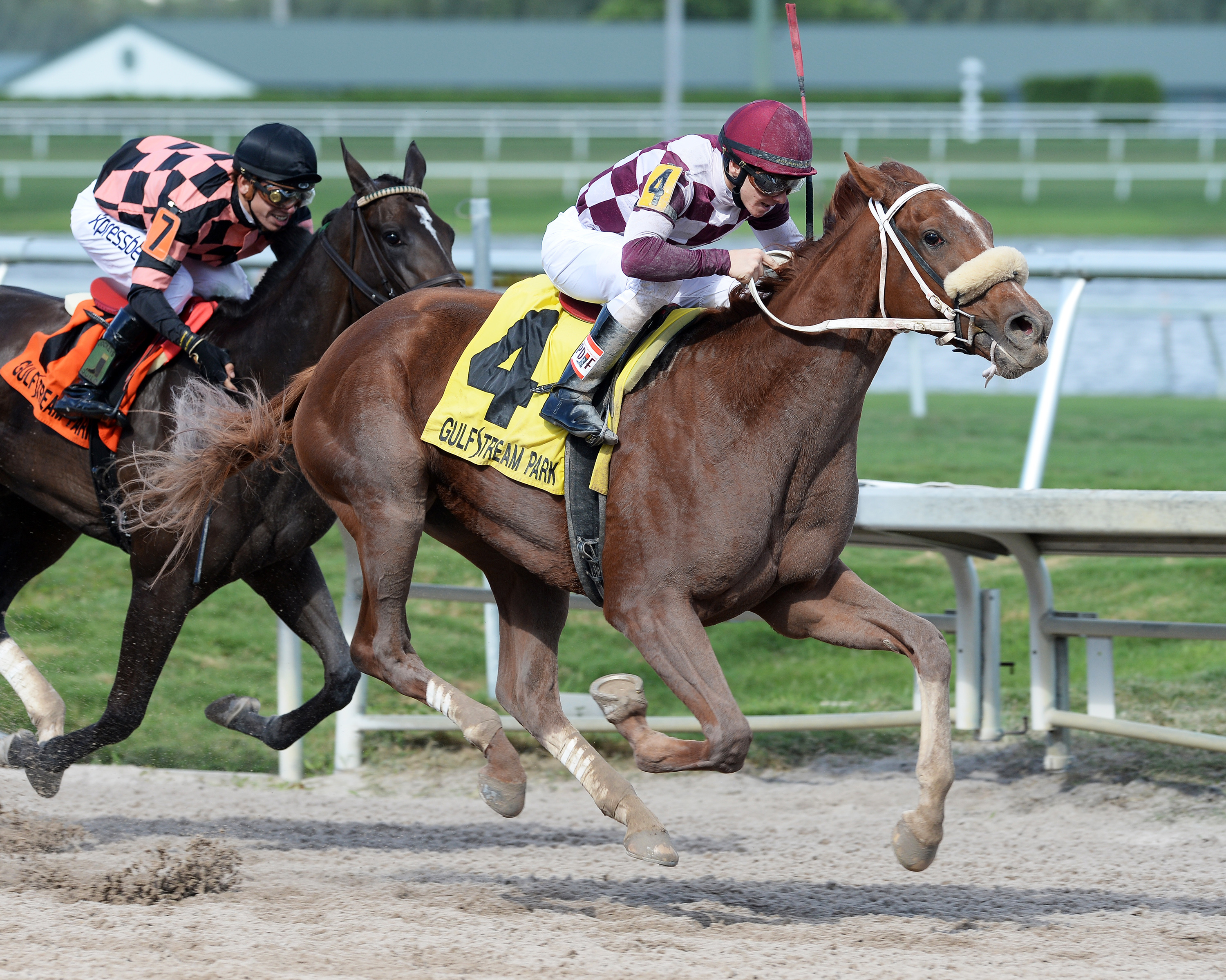 Flora Dora wins the Florida Sire My Dear Girl Stakes