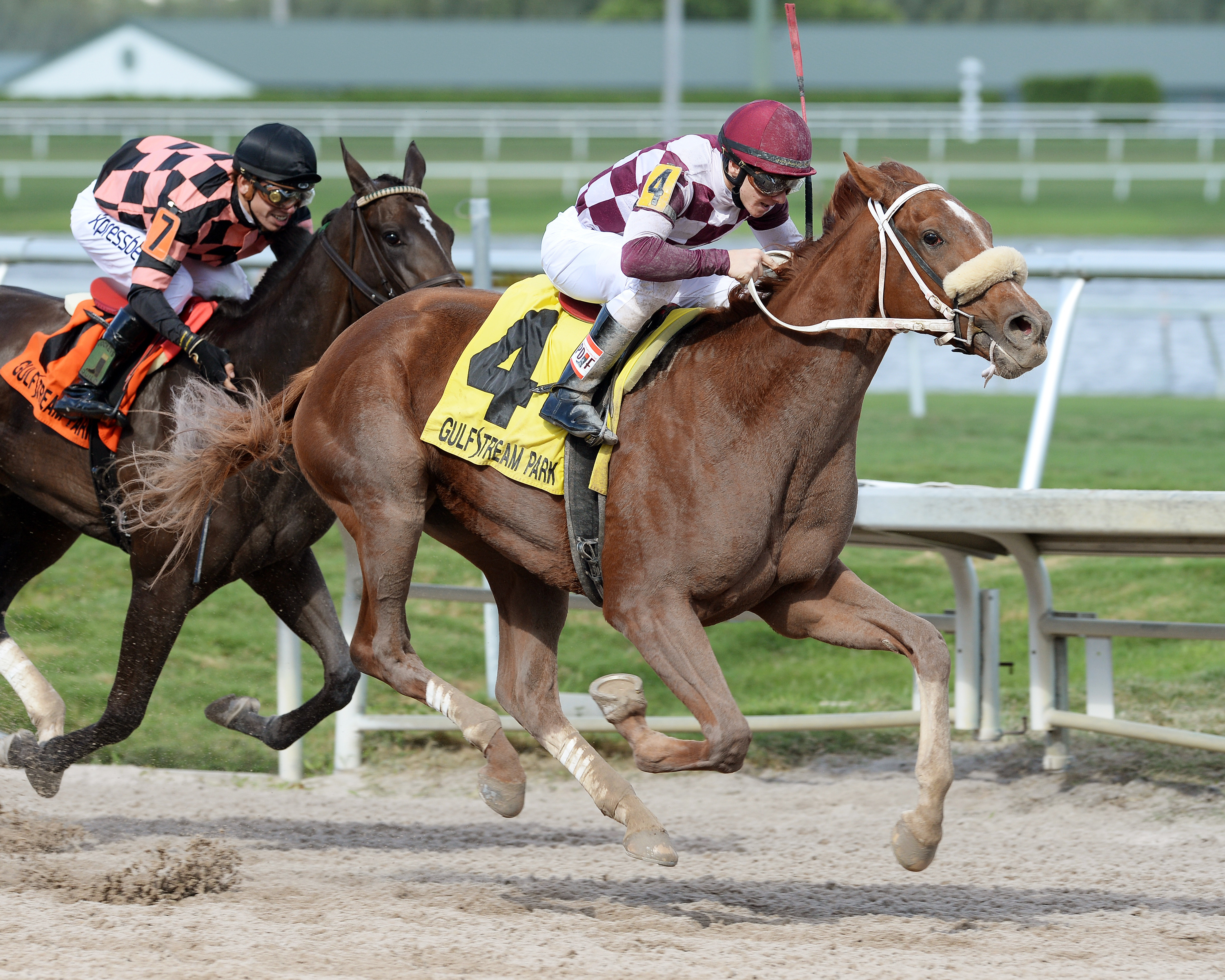 Flora Dora wins the Florida Sire My Dear Girl Stakes