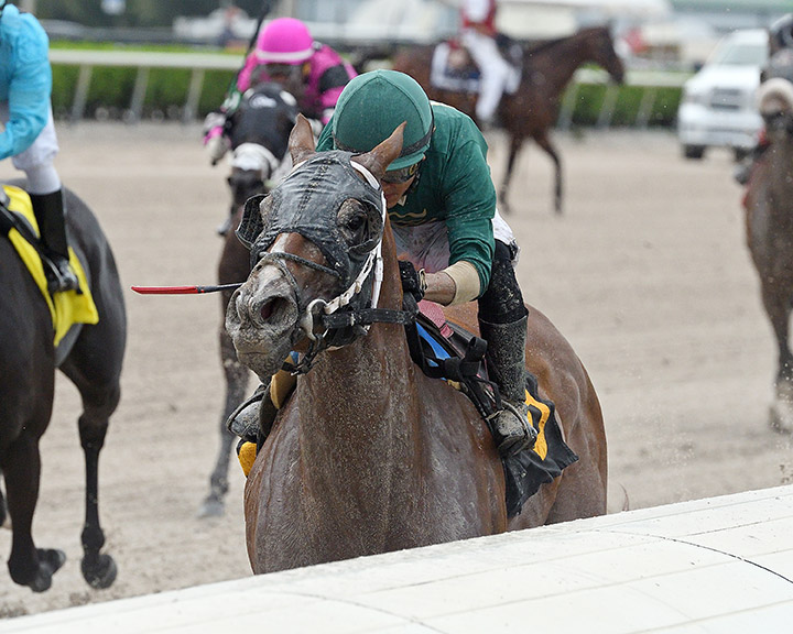 Flora Fantasy wins a June 15 allowance optional claimer at Gulfstream Park
