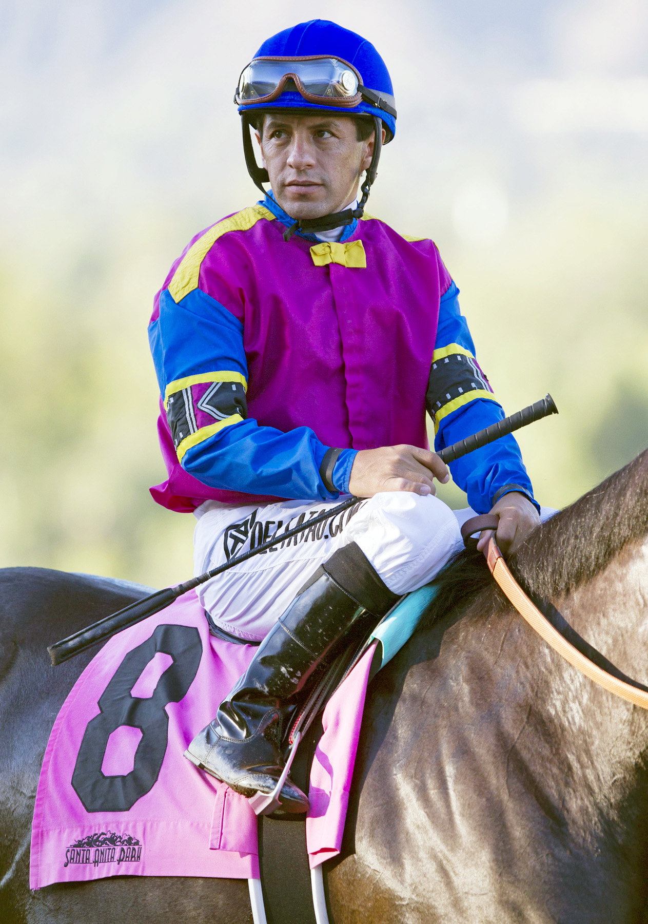 David Flores