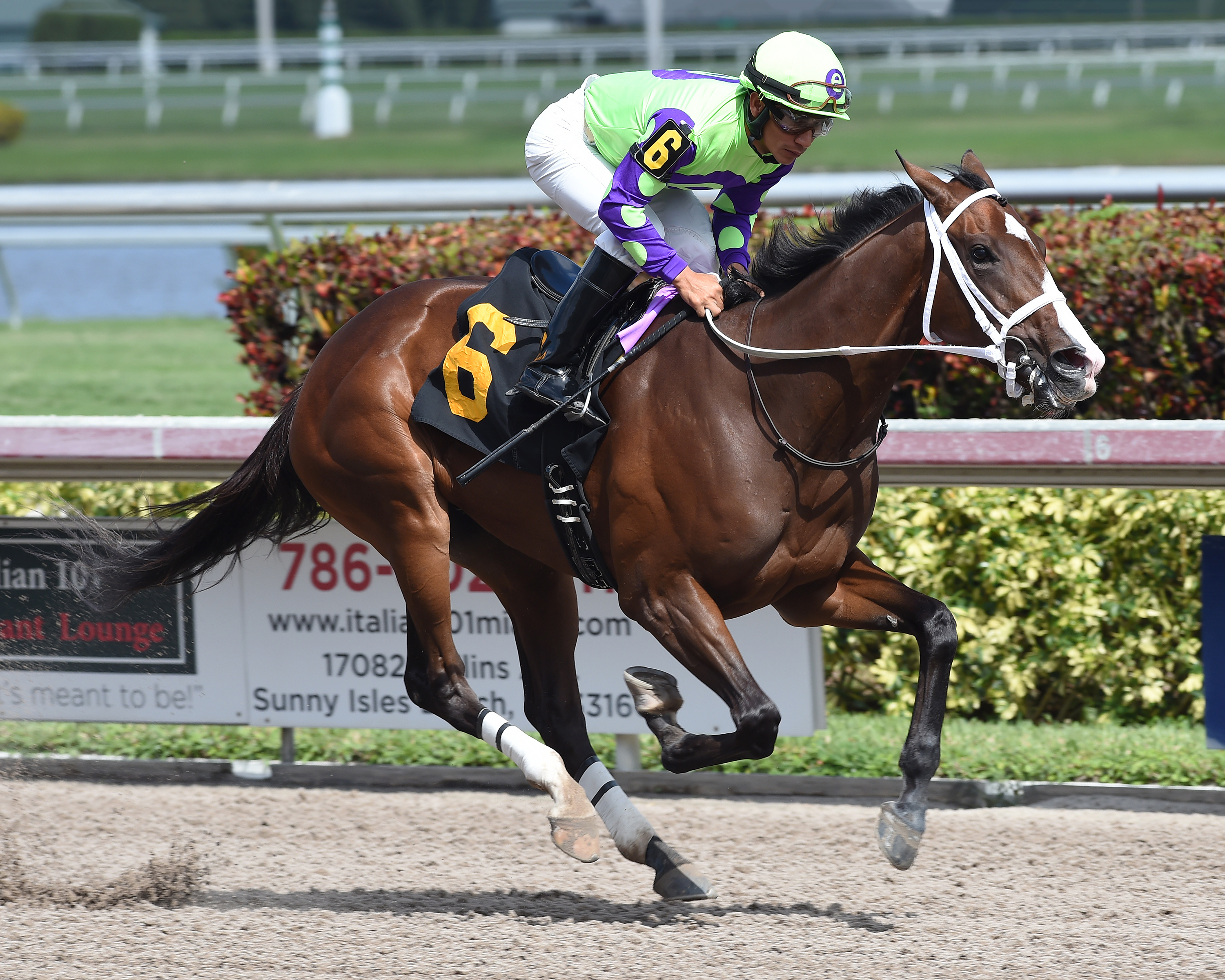 Florida Fabulous wins a maiden race