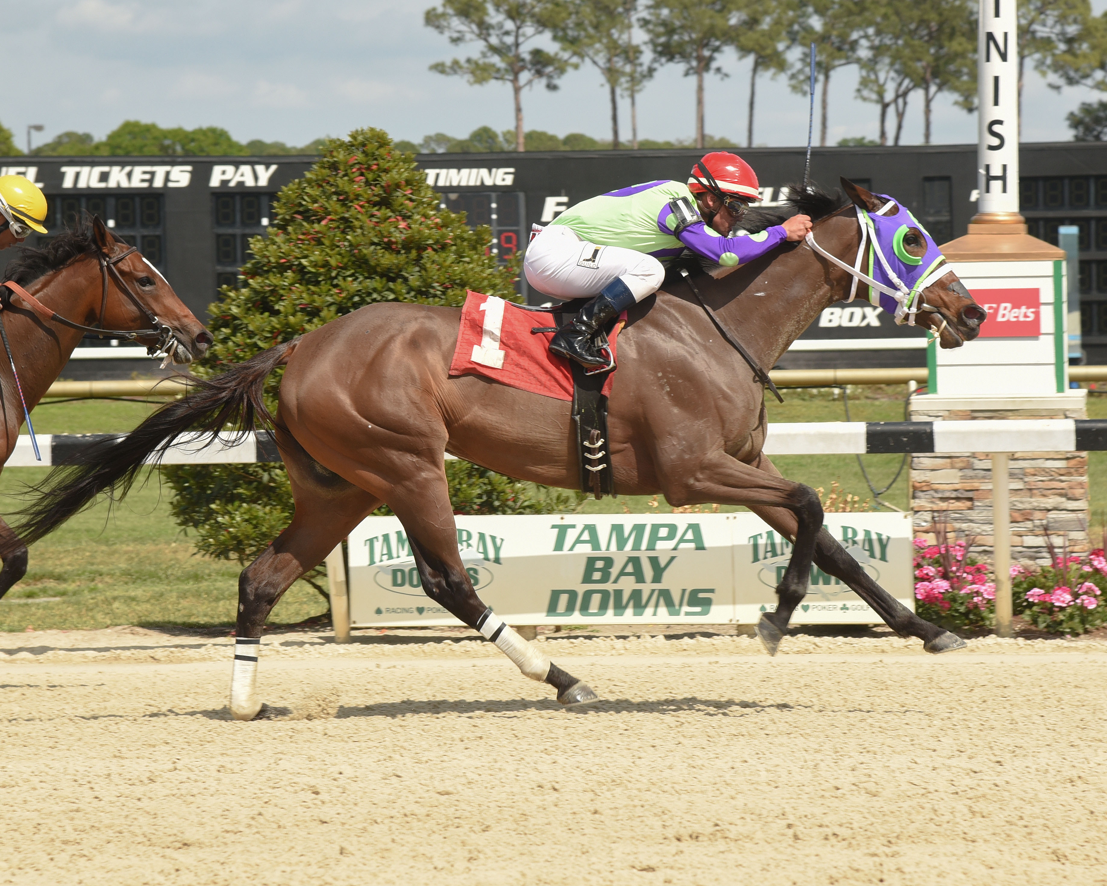 Florida Fuego wins the 2018 Sophomore Fillies Stakes