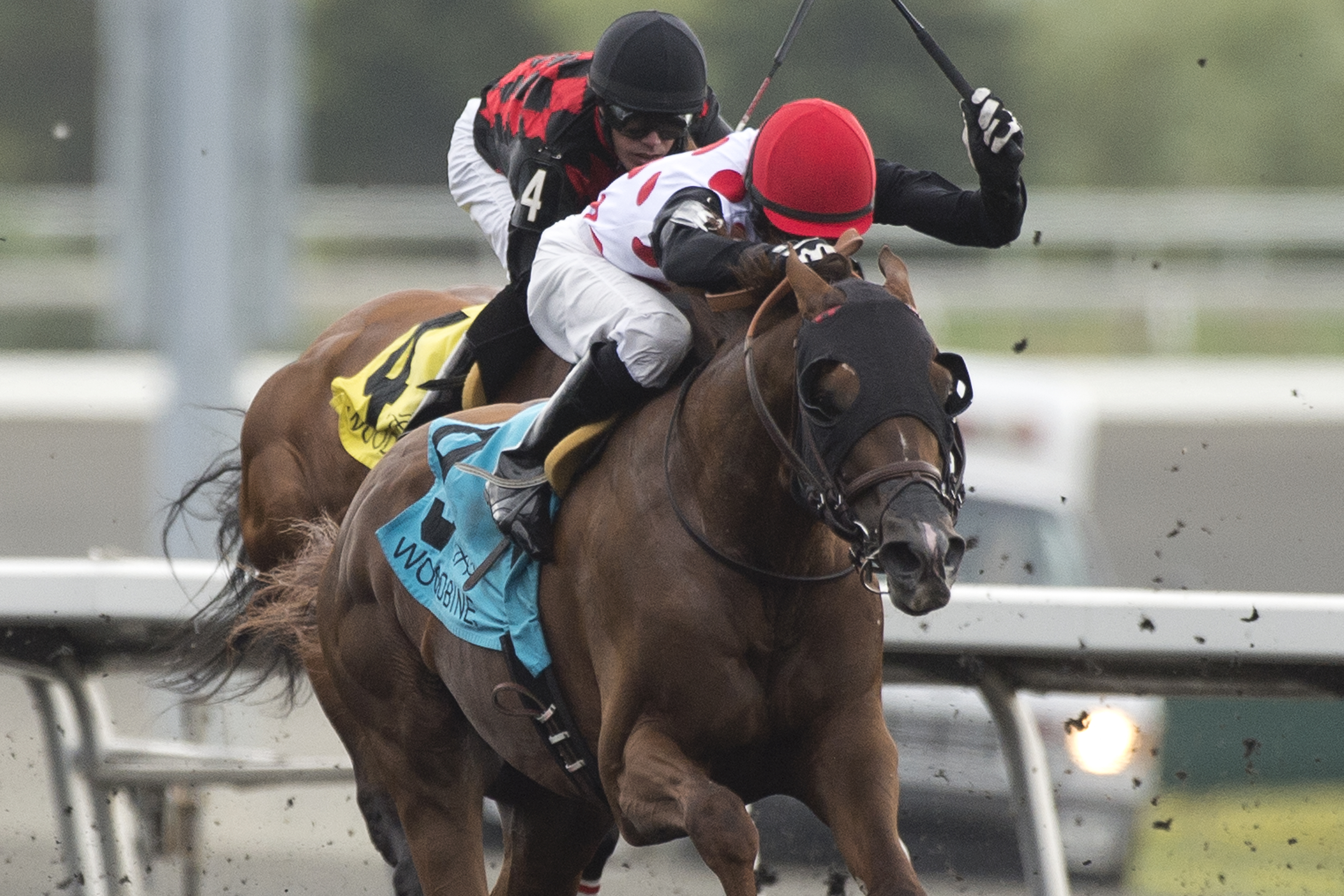 Florida Won wins 2015 Seagram Cup