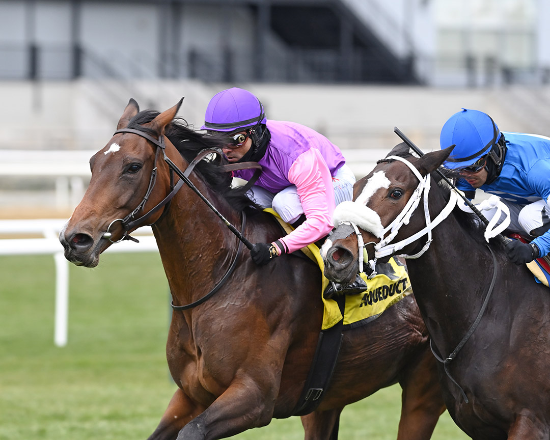 Flower Point (left) wins the 2021 Forever Together Stakes at Aqueduct