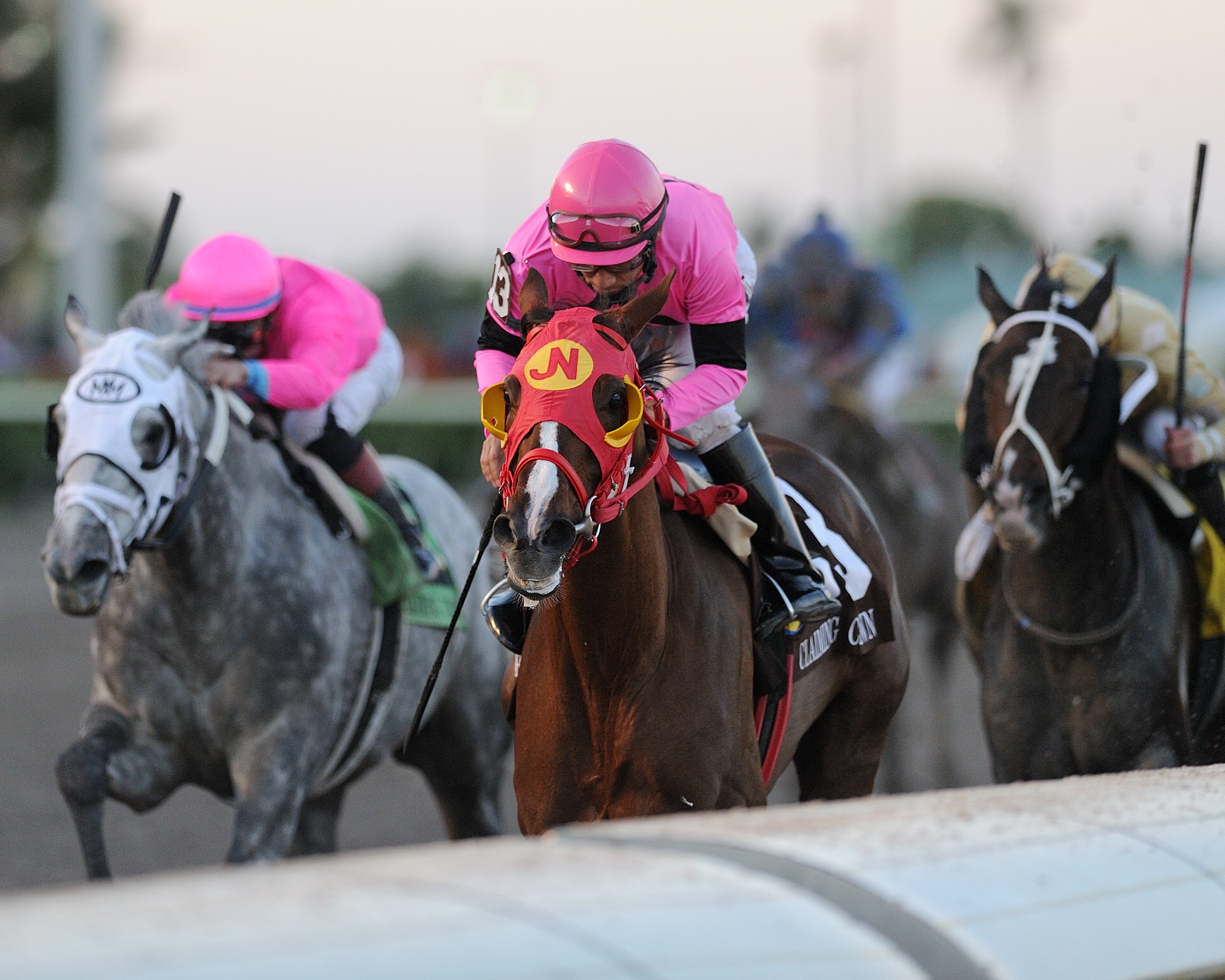 Flowers for Lisa (center) wins the 2017 Claiming Crown Jewel