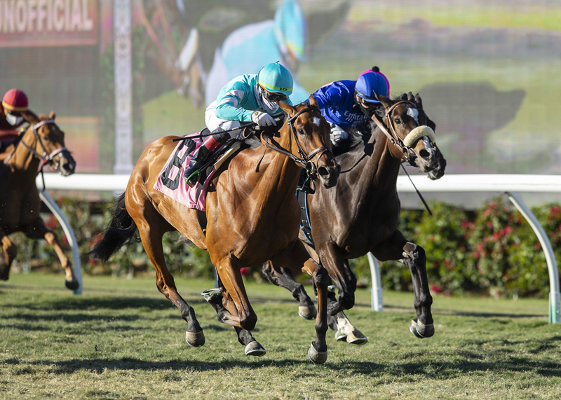 Fluffy Socks wins Jimmy Durante 11-28-2020