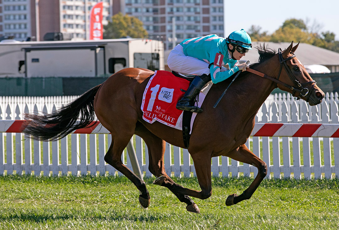 Fluffy Socks wins the 2020 Selima Stakes at Pimlico Race Course