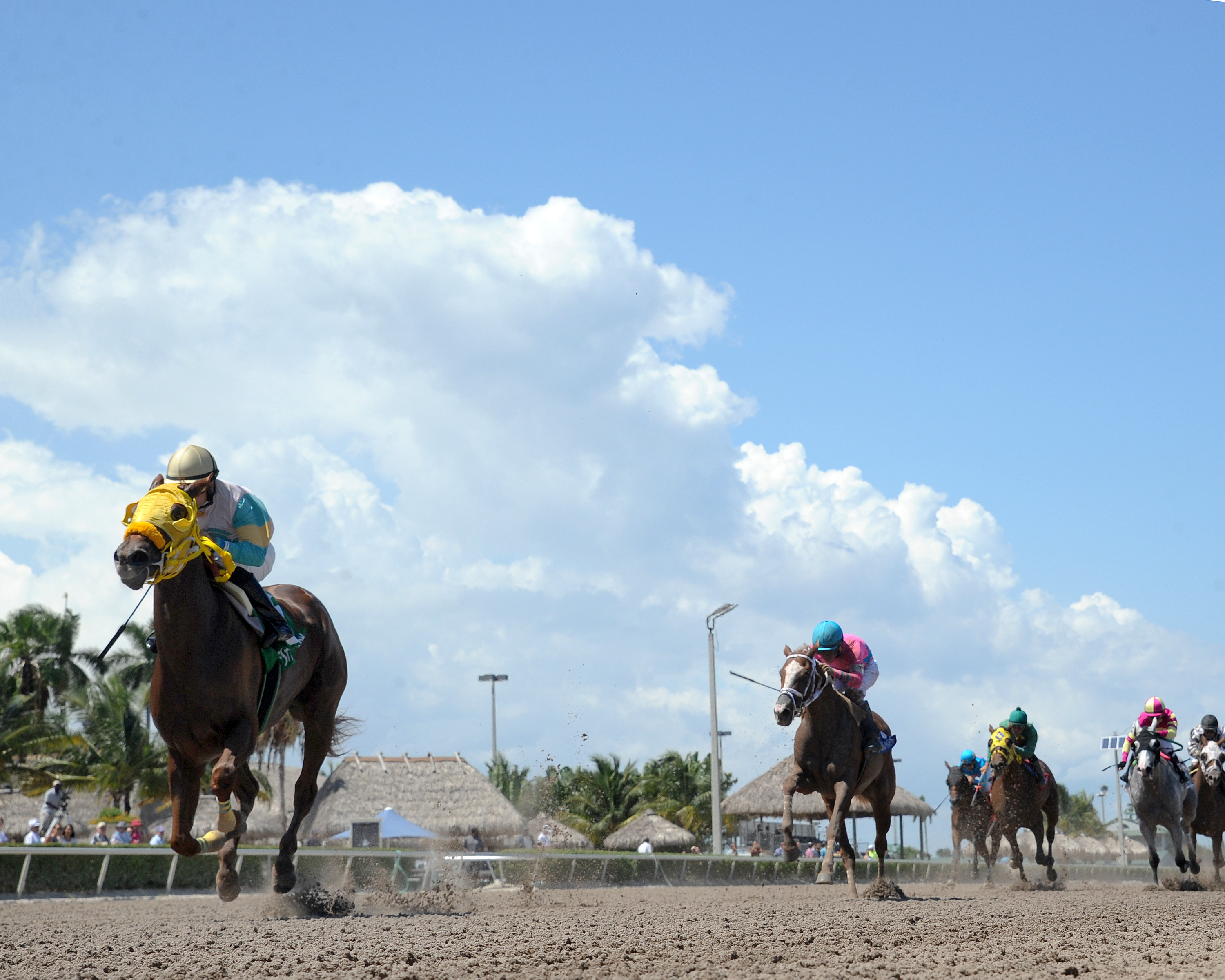 Flutterby 8-22-2015