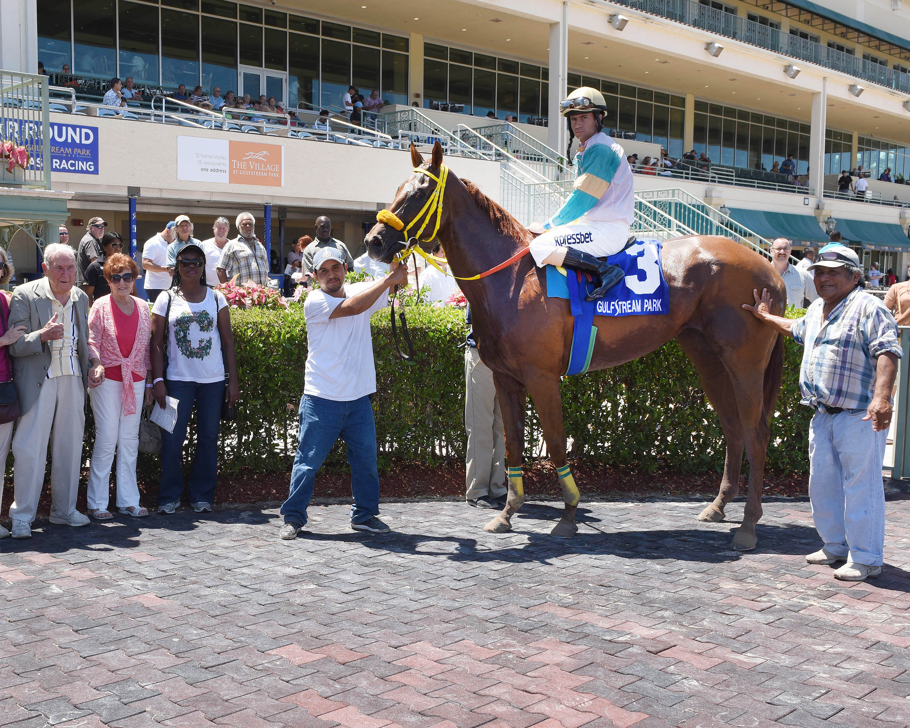 Flutterby with Jerry Bozzo