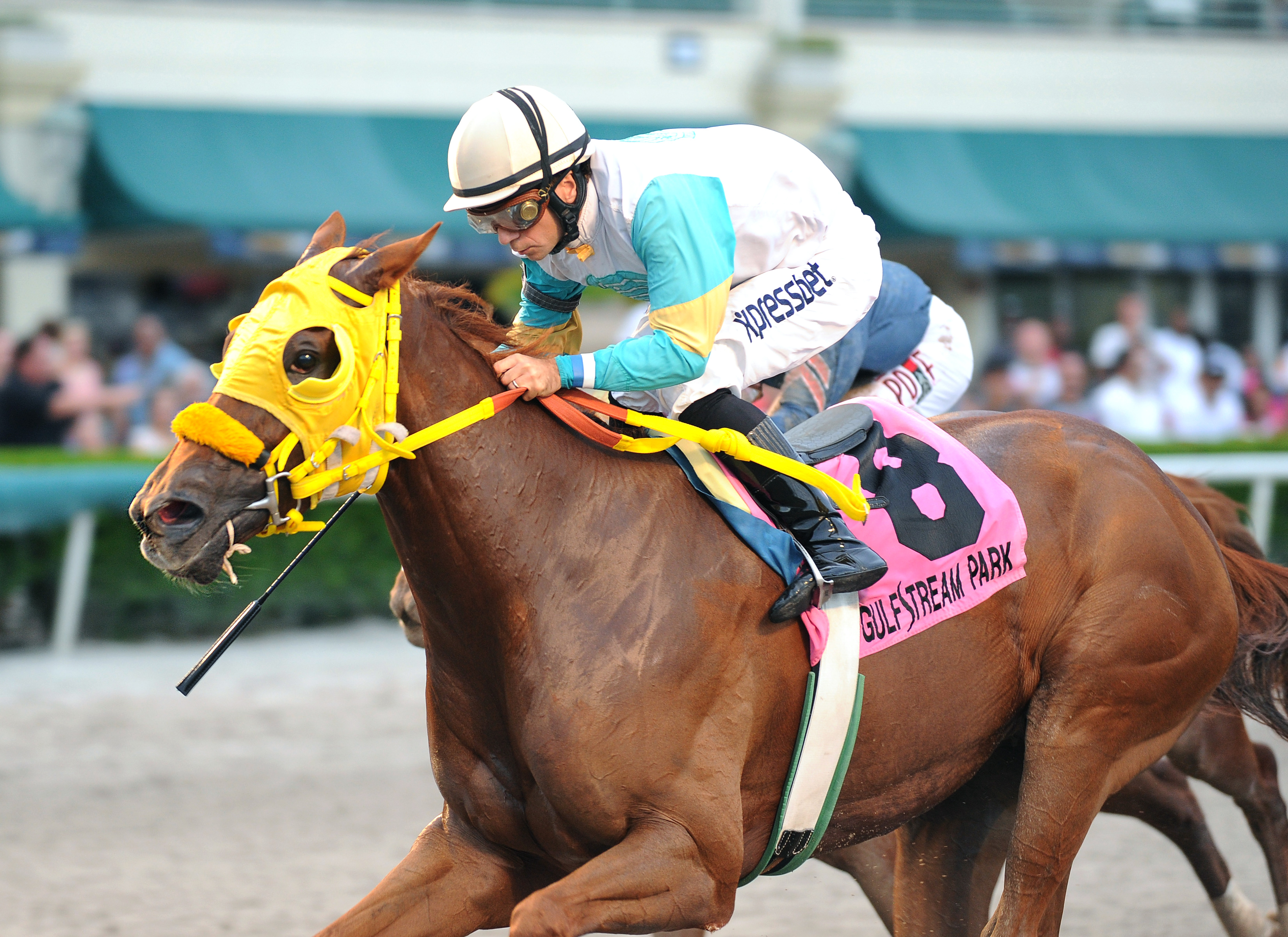 Flutterby wins the Added Elegance