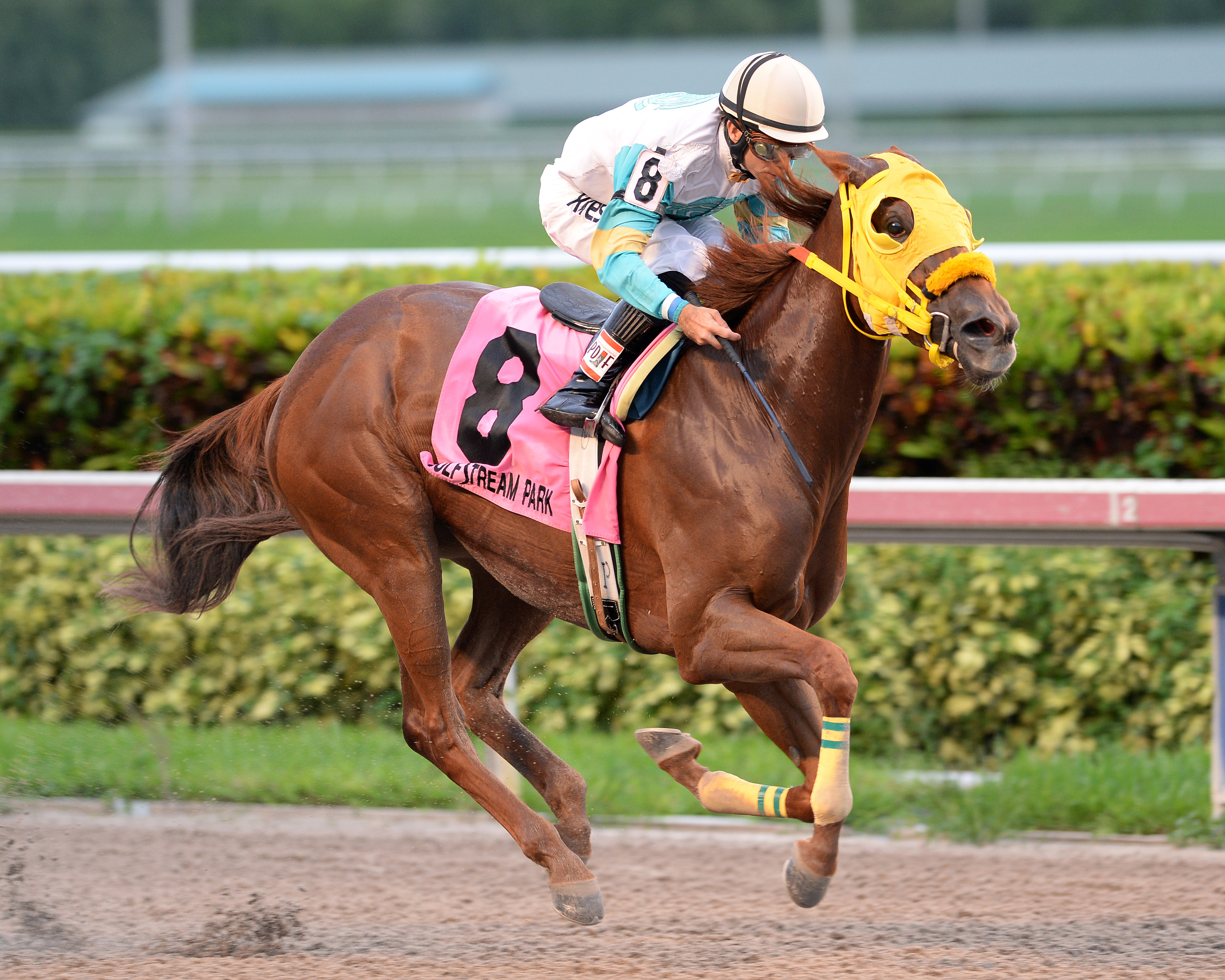 Flutterby wins the 2015 Added Elegance