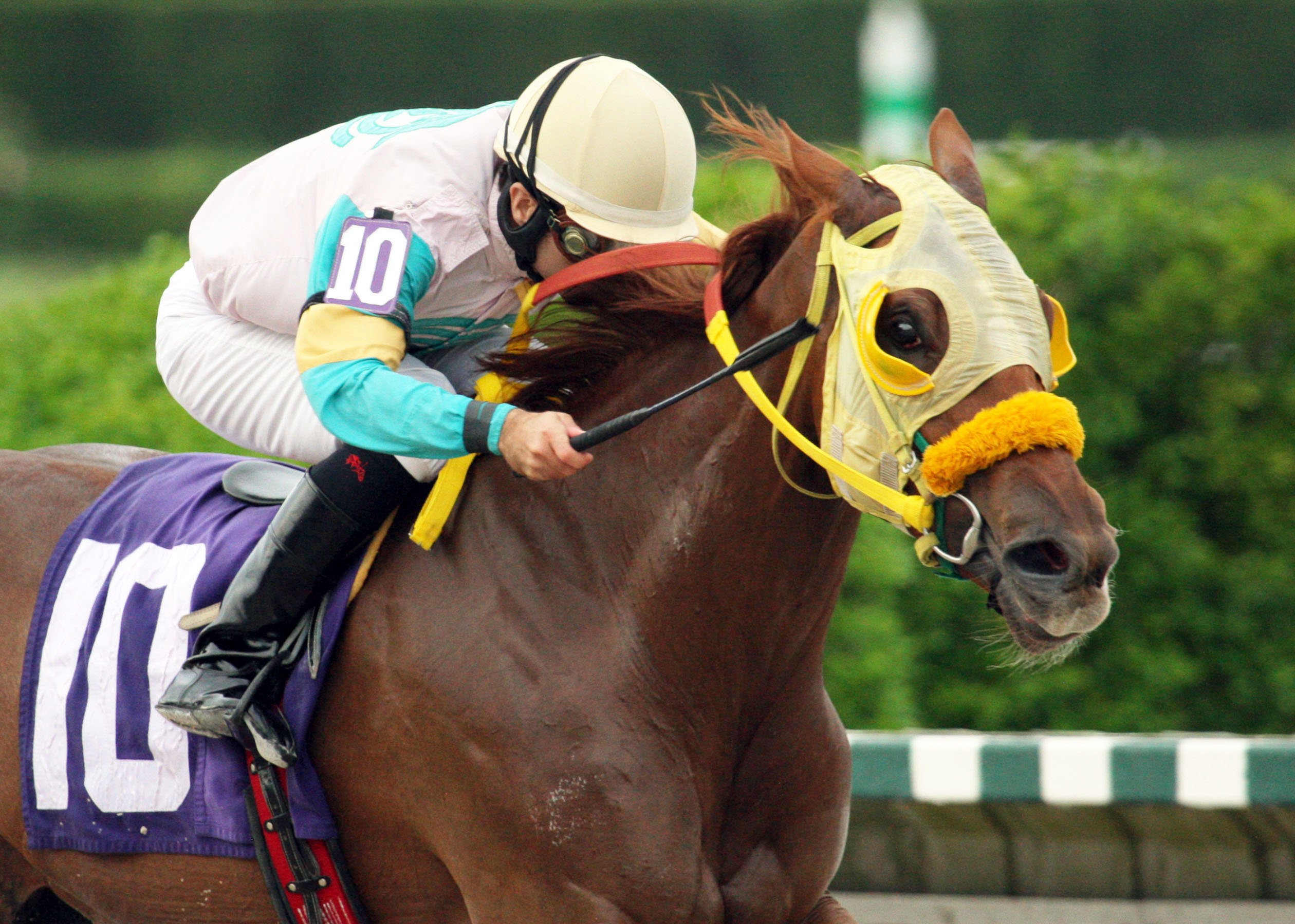Flutterby wins the 2013 Cut the Charm Stakes