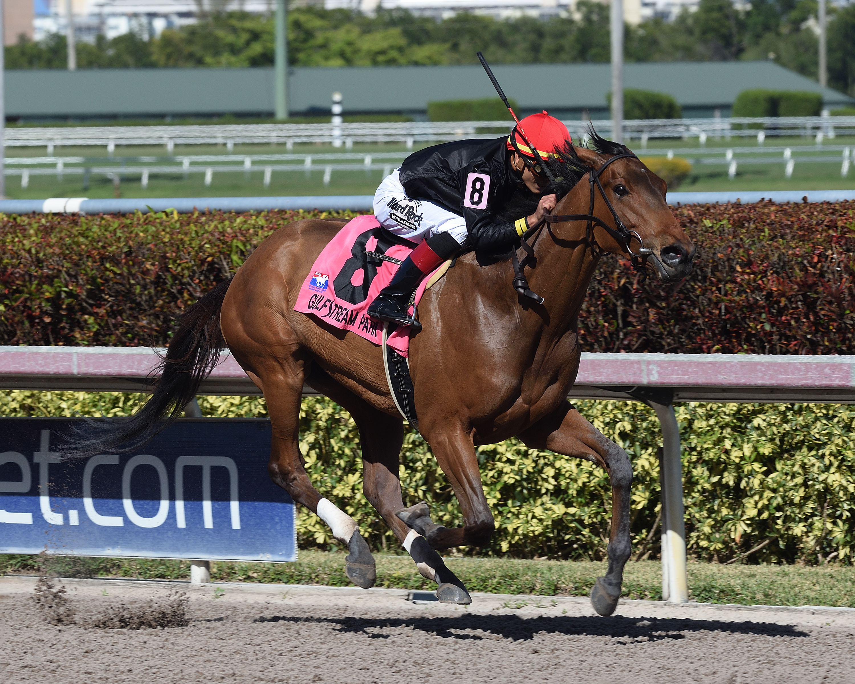Fly So High wins the 2018 Davona Dale Stakes