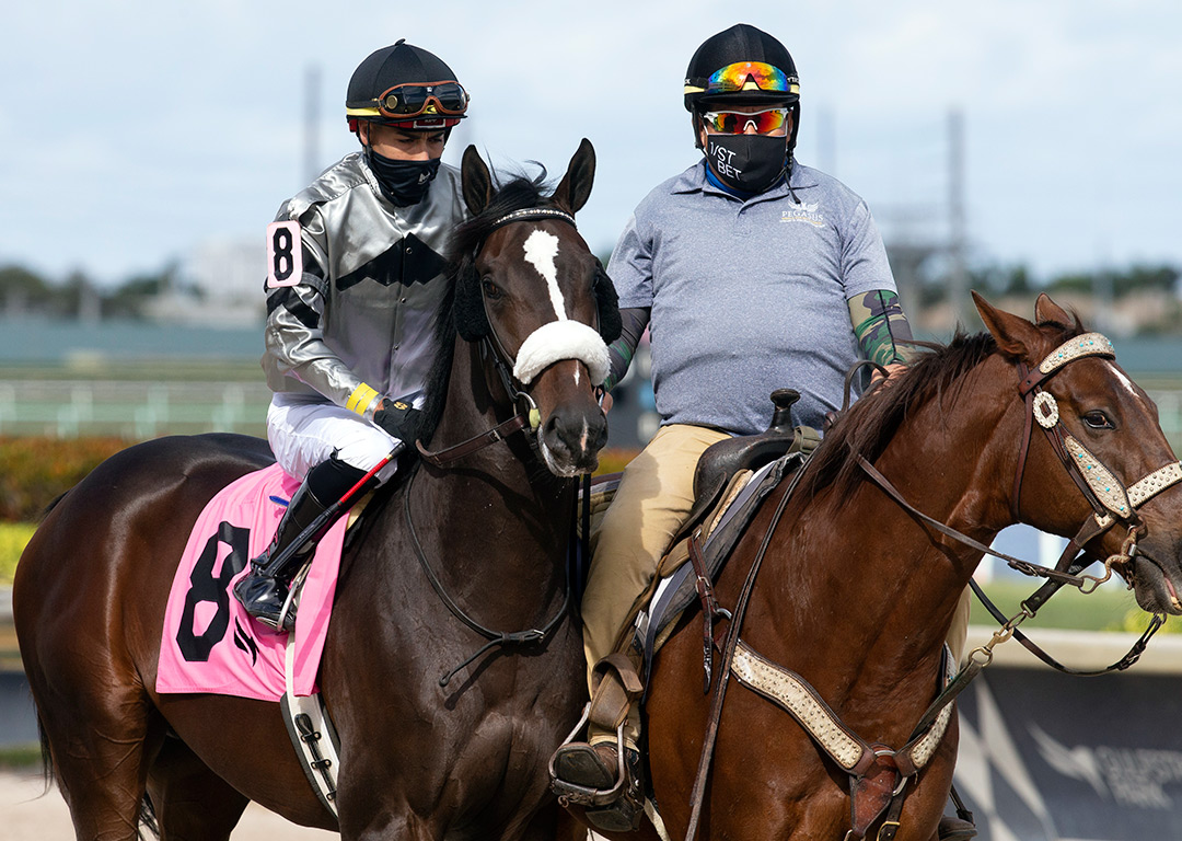 Fly Like an Eagle at Gulfstream Park in January 2021