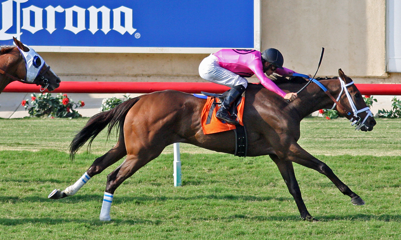 Fly to Mars wins the 2018 California Dreamin Stakes