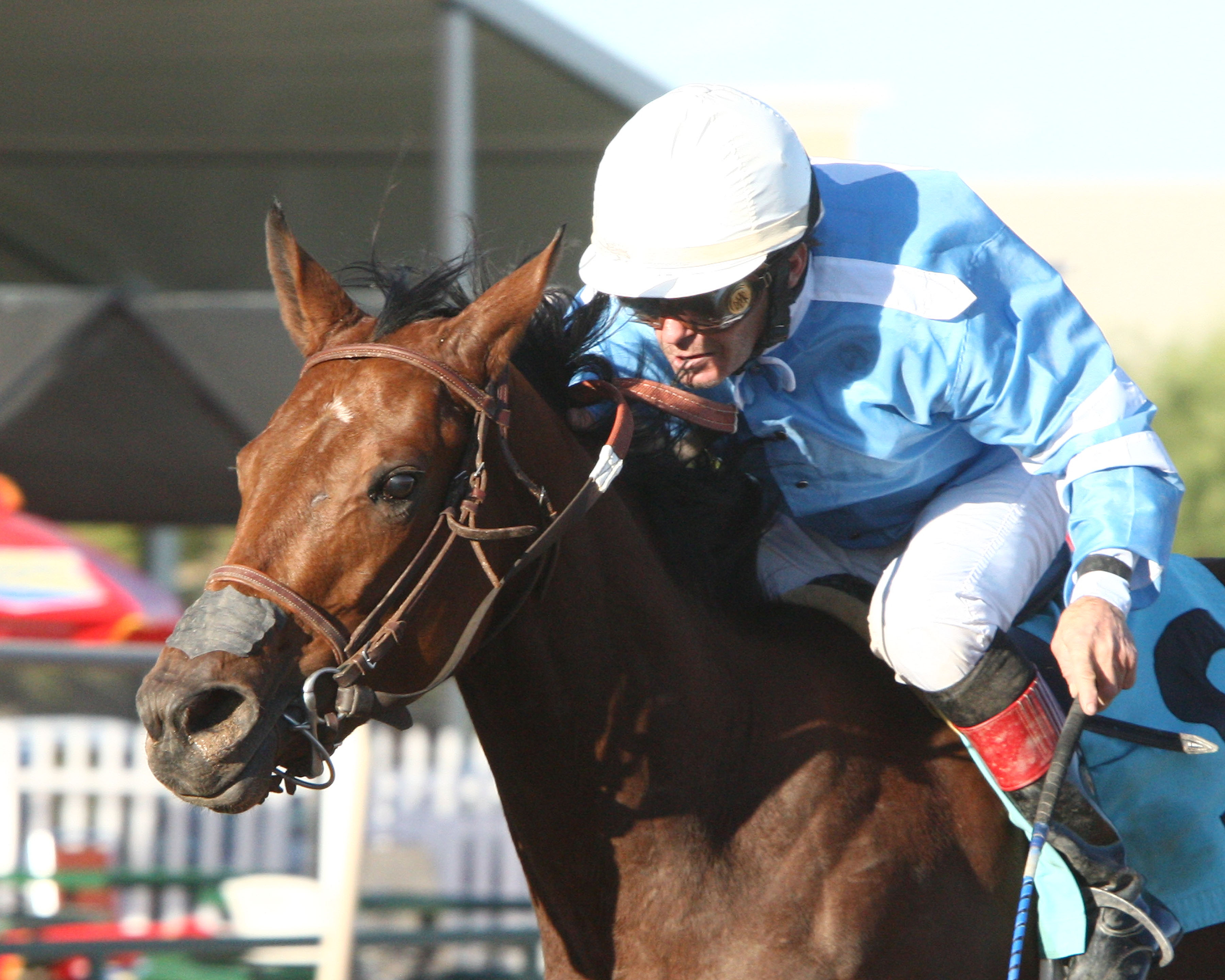 Flying Fiona 11-2-2014