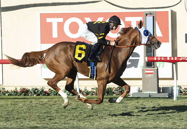 Flying Scotsman wins the 2018 Cecil B. Demille