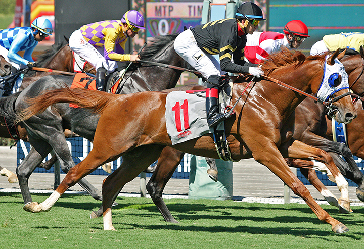 Flying Scotsman wins a Sept. 29 maiden race