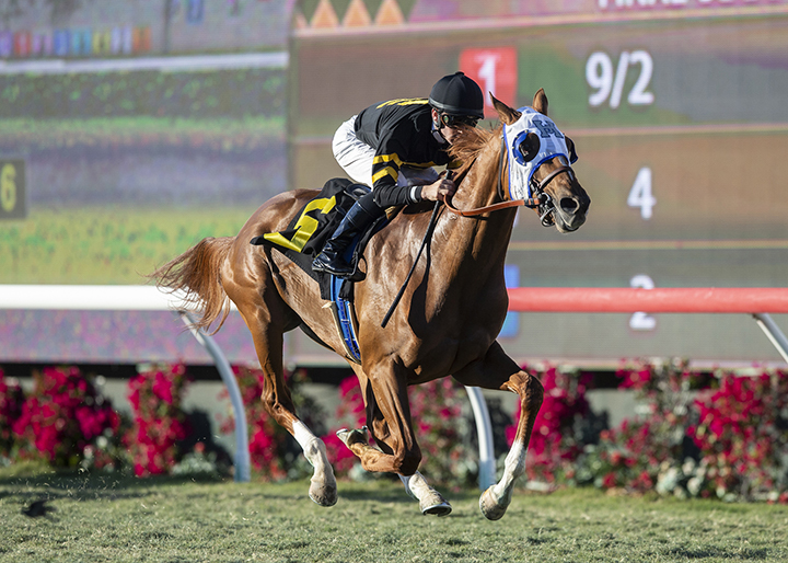 Flying Scotsman wins the 2018 Cecil B. Demille