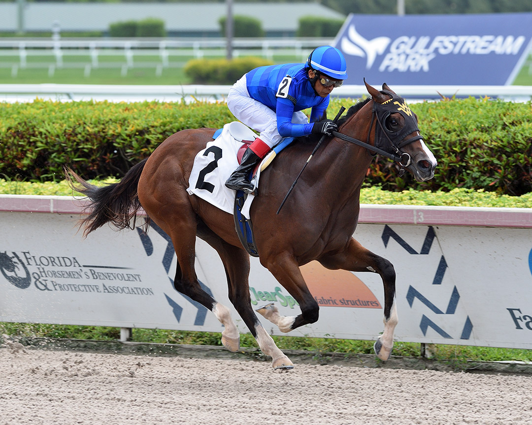 Flying Aletha wins a May 21 maiden race at Gulfstream Park