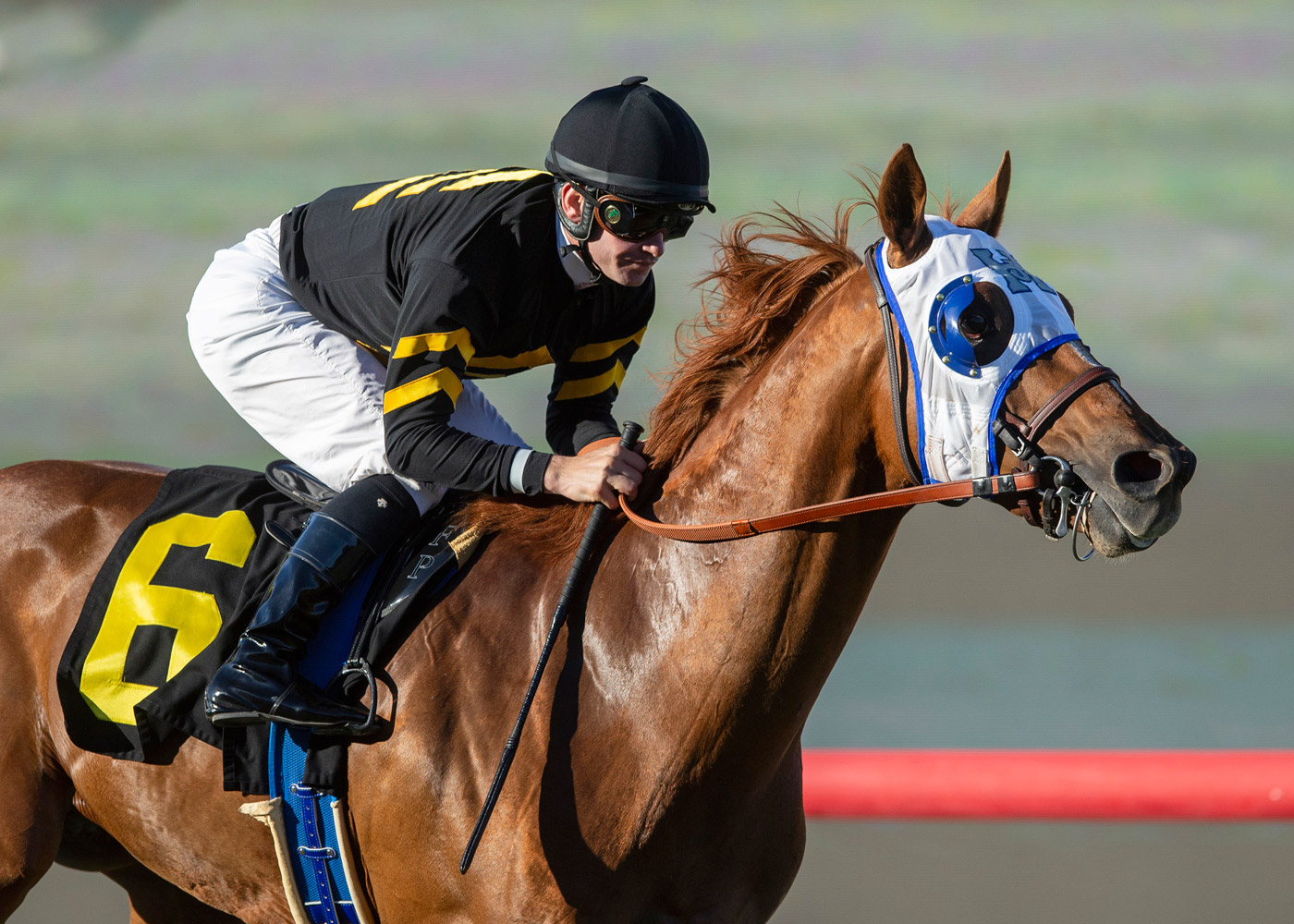 Flying Scotsman wins the 2018 Cecil B. DeMille Stakes at Santa Anita