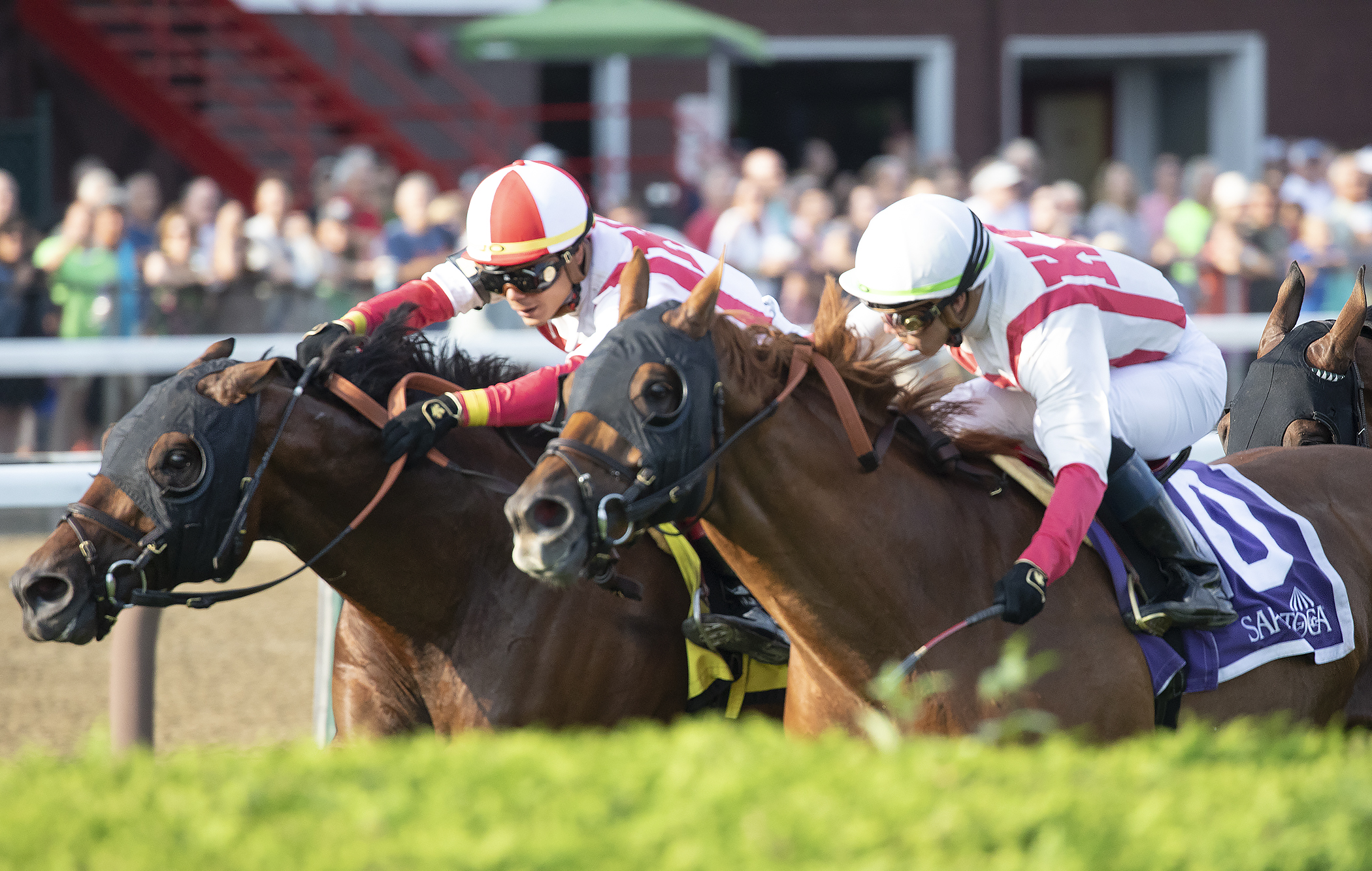 Focus Group (left) wins the 2018 John-s Call Stakes