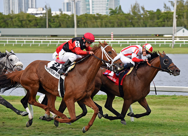 Focus Group wins the Pan American Stakes at Gulfstream Park