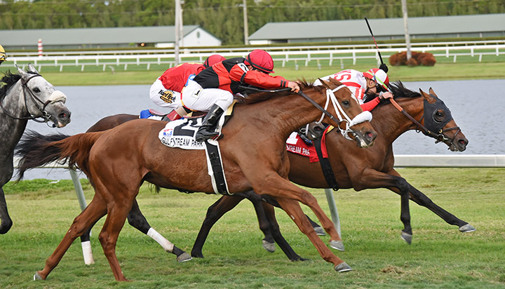 Melmich finishes second in the Pan American Stakes