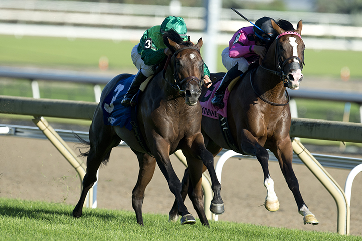 War of Will finishes second in the 2018 Summer Stakes