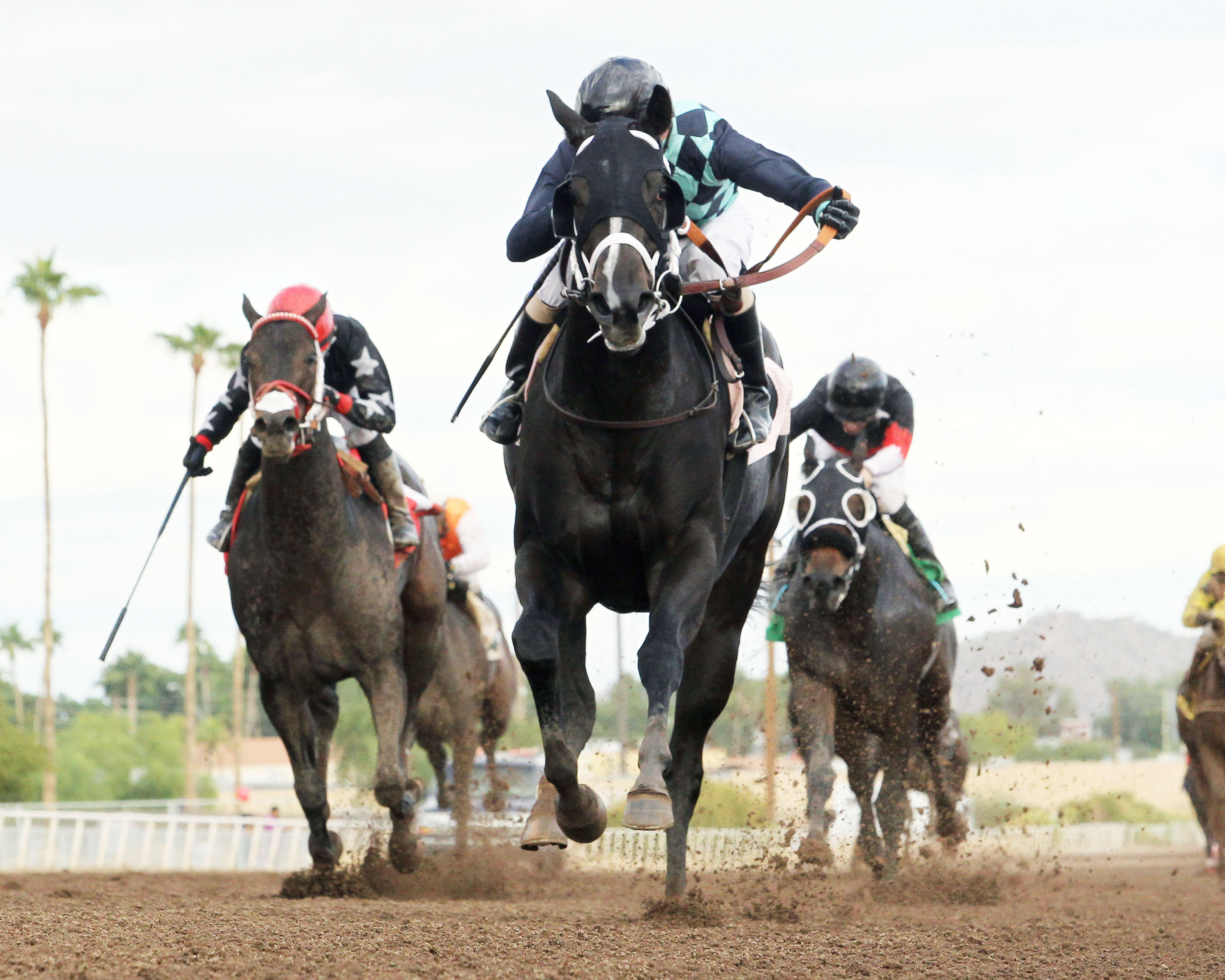 Foggia wins the ATBA Fall Sales Stakes