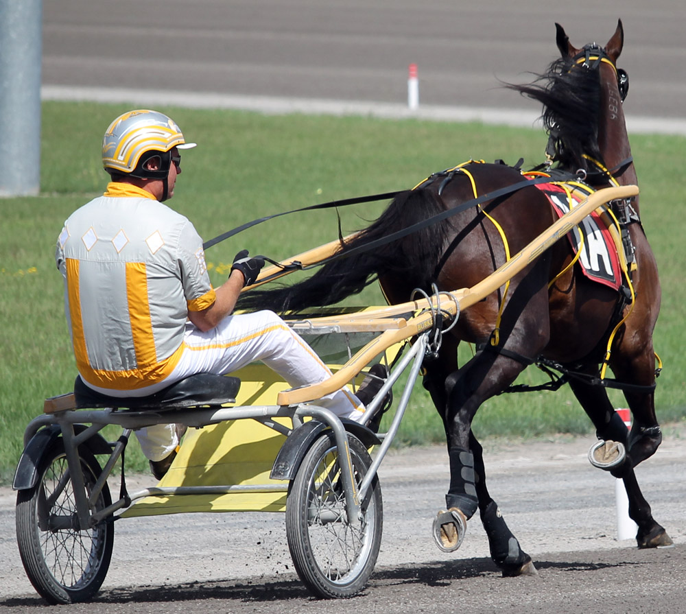Foiled Again_Burke