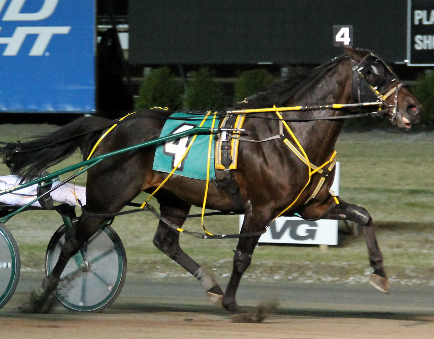 Foiled Again_TVG prelim