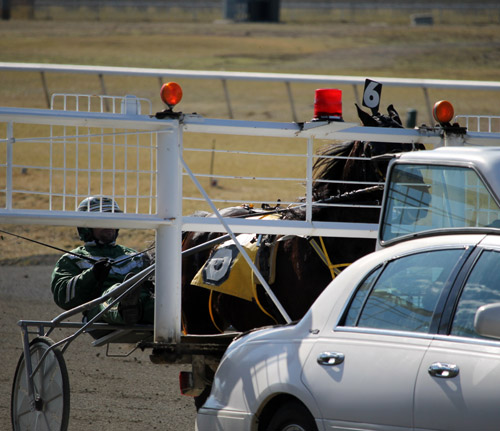 foiled again_behind gate