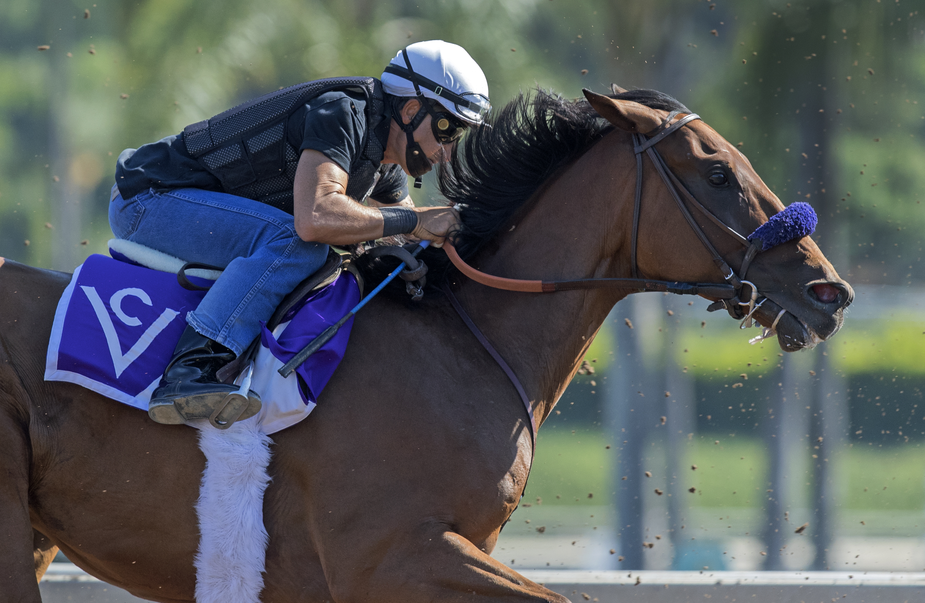 Follow Me Crev trains at Santa Anita on June 26