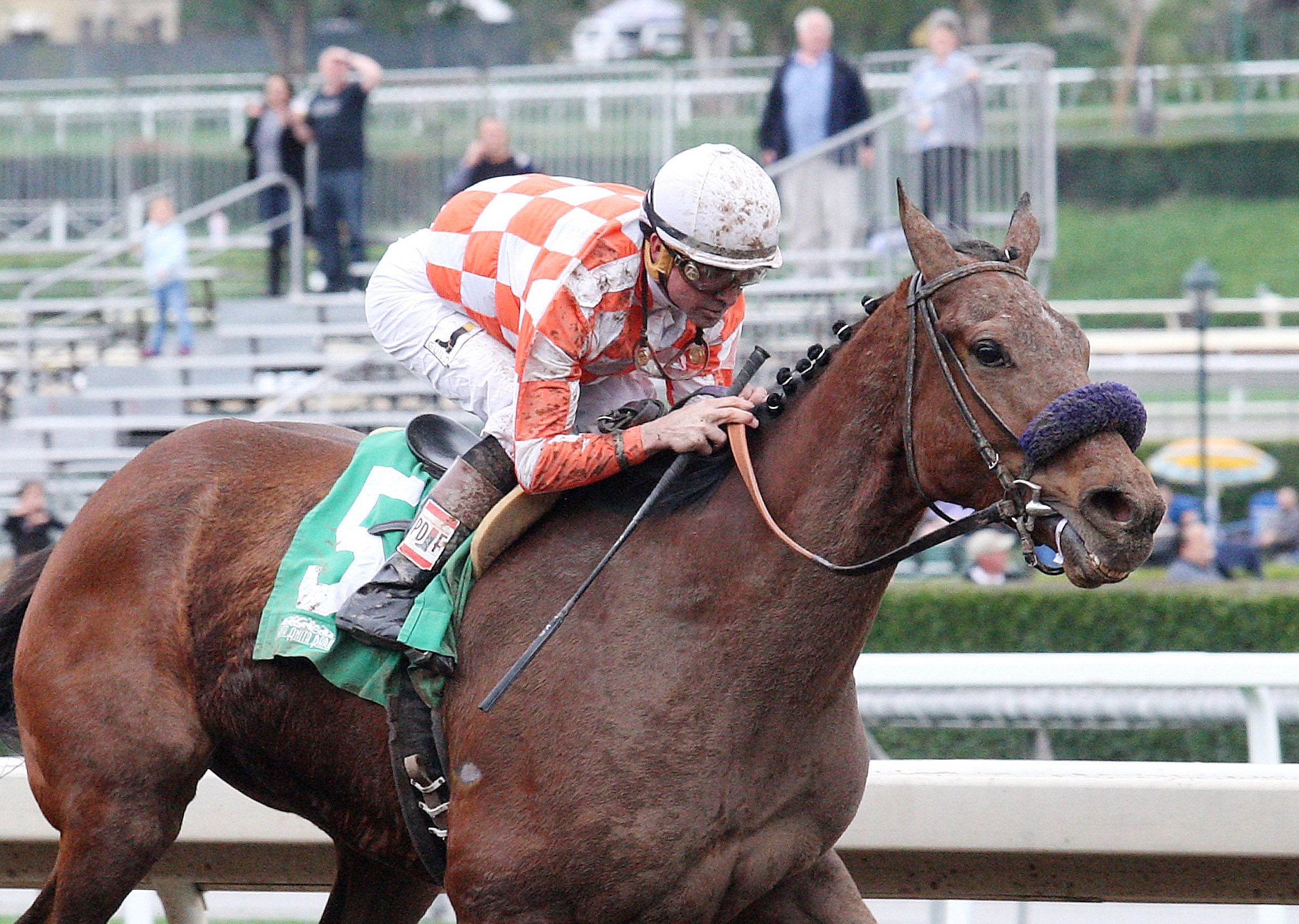 Follow Me Crev wins a Feb. 20 allowance race