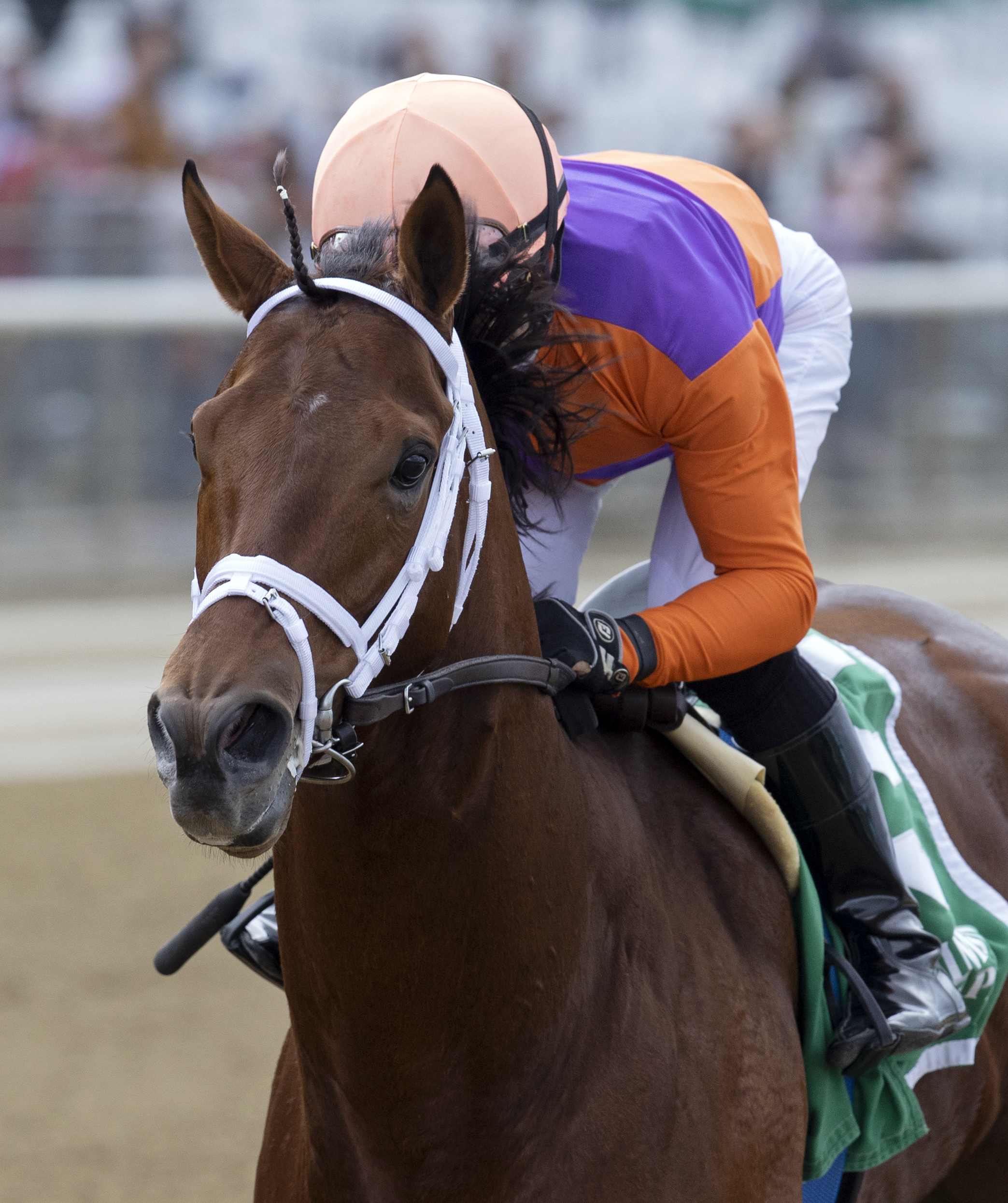 Following Sea wins Vosburgh Stakes 10-9-2021