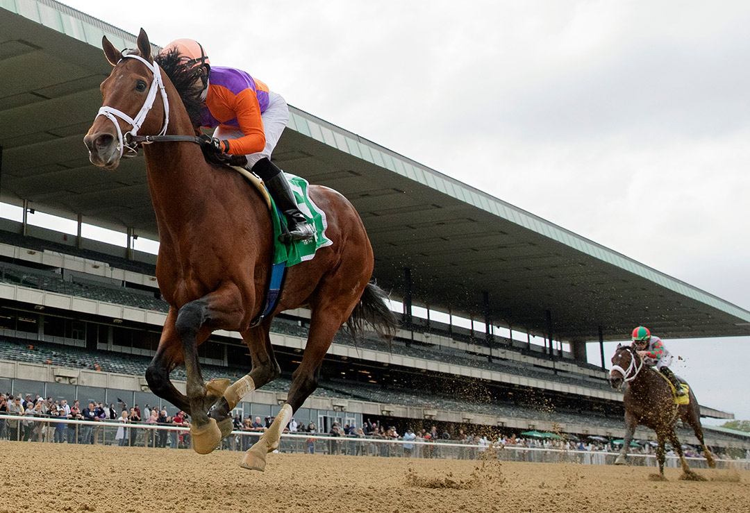 Following Sea wins the 2021 Vosburgh Stakes at Belmont Park