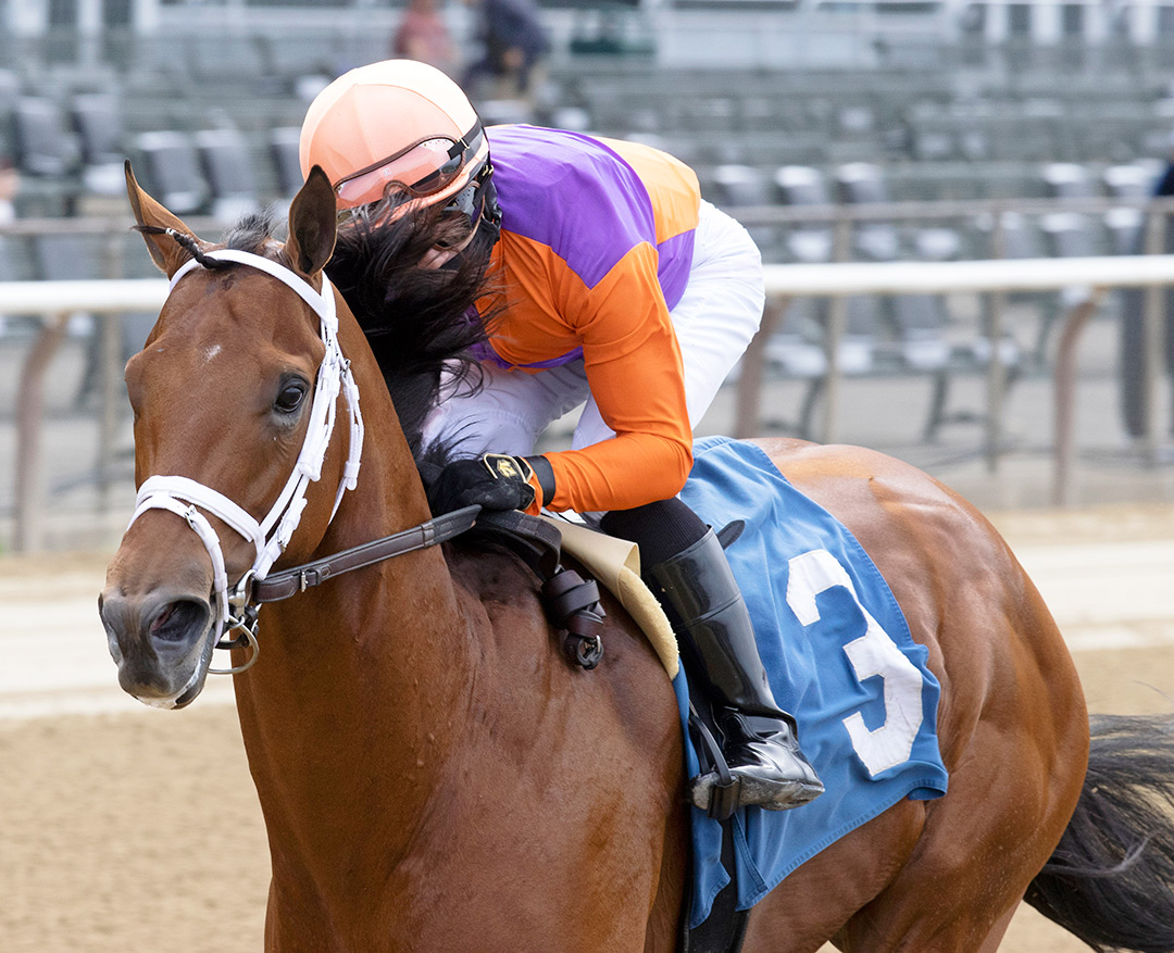 Following Sea wins a June 3 allowance at Belmont Park