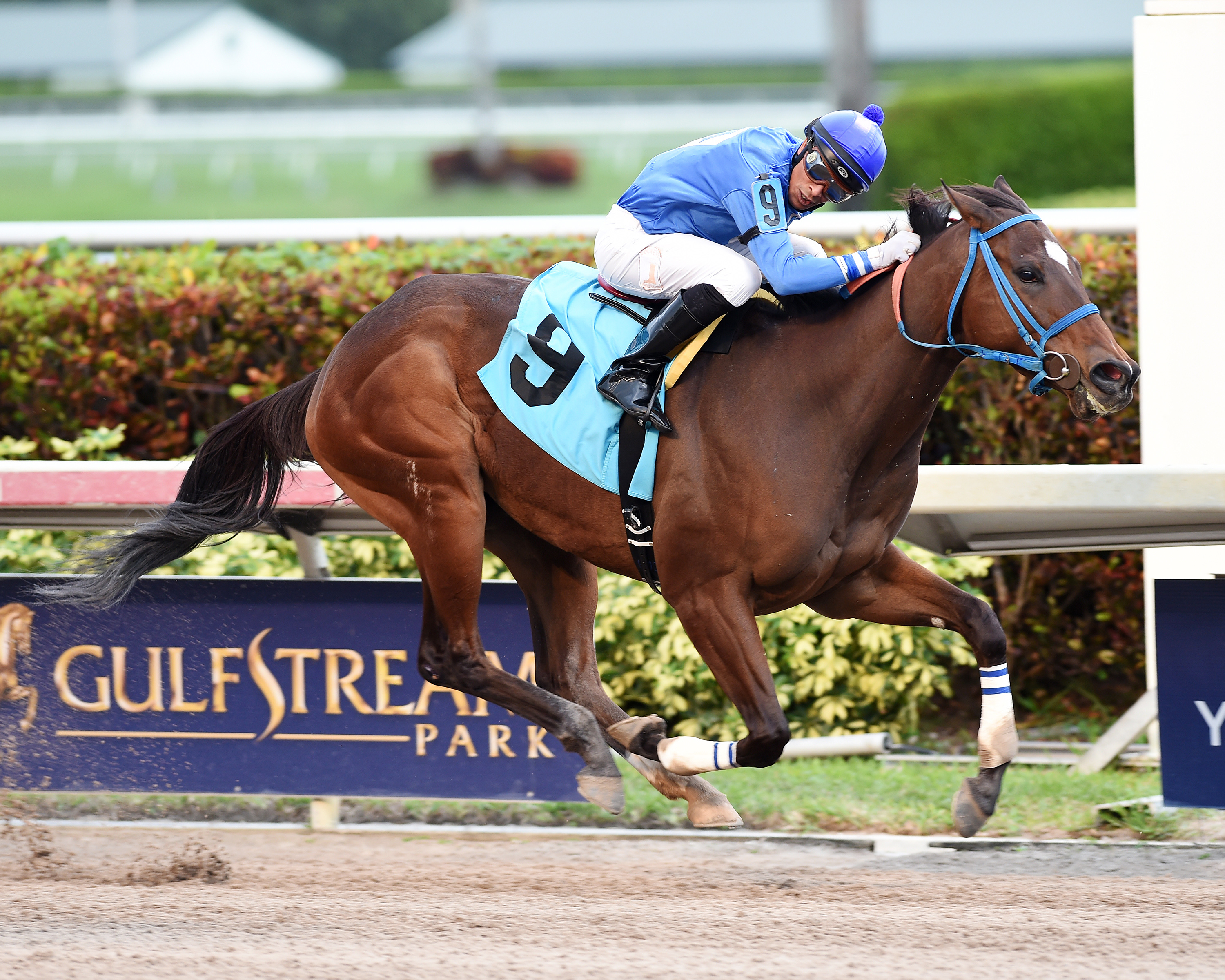 Fond of Sarah wins an optional claimer on Jan. 8