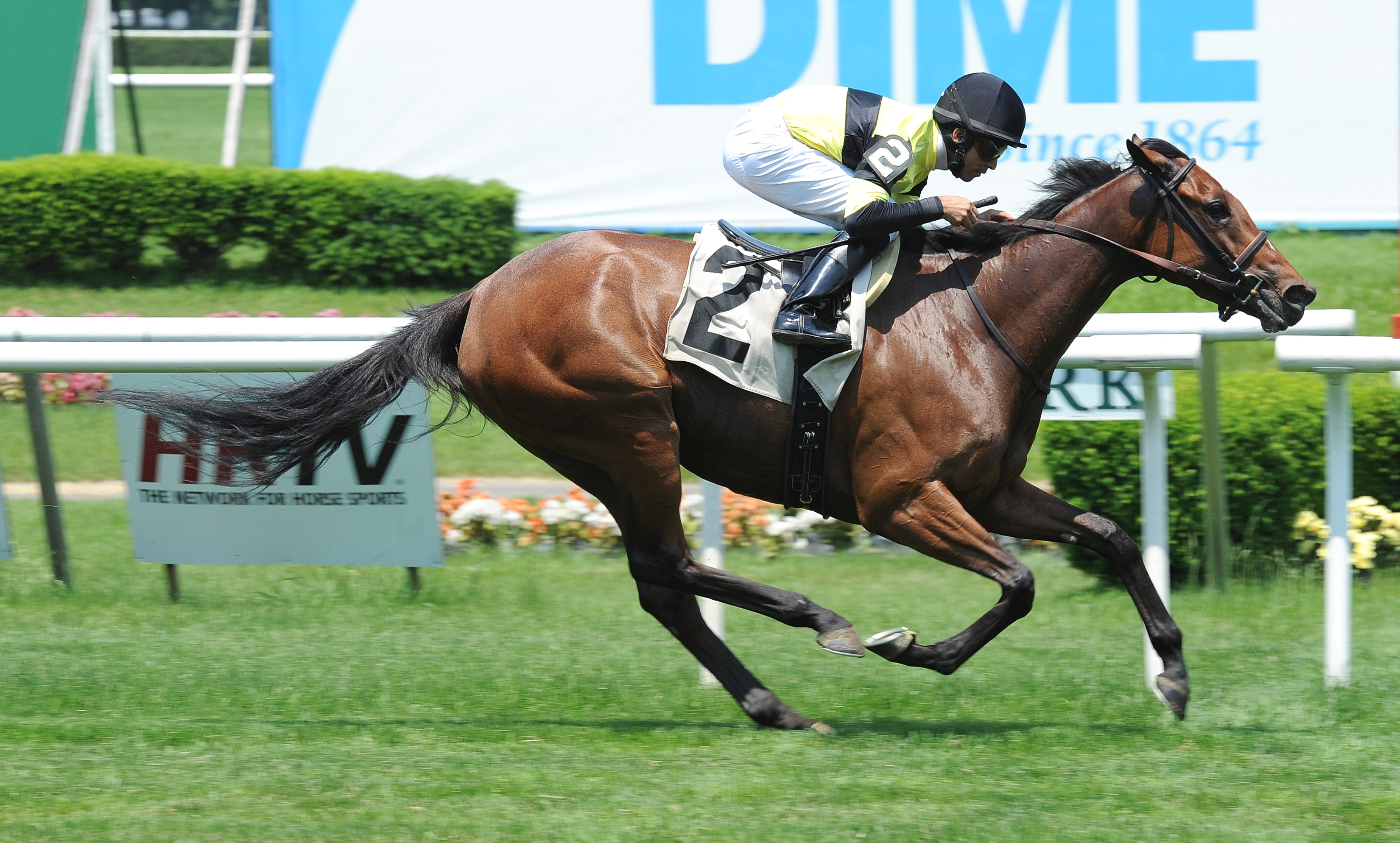 Fontley, May 28, Belmont Park