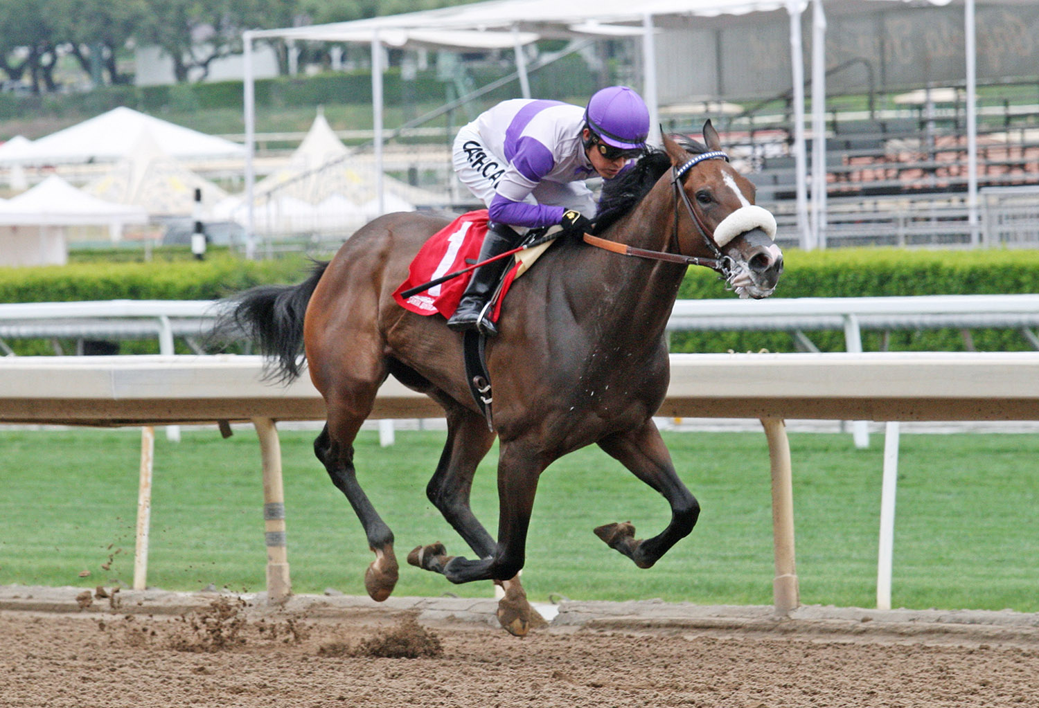 Fool-s Paradise wins a May 18 allowance