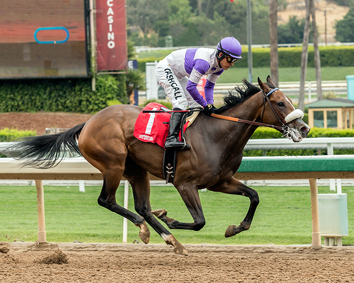 Fool's Paradise wins a May 2018 allowance race at Santa Anita Park